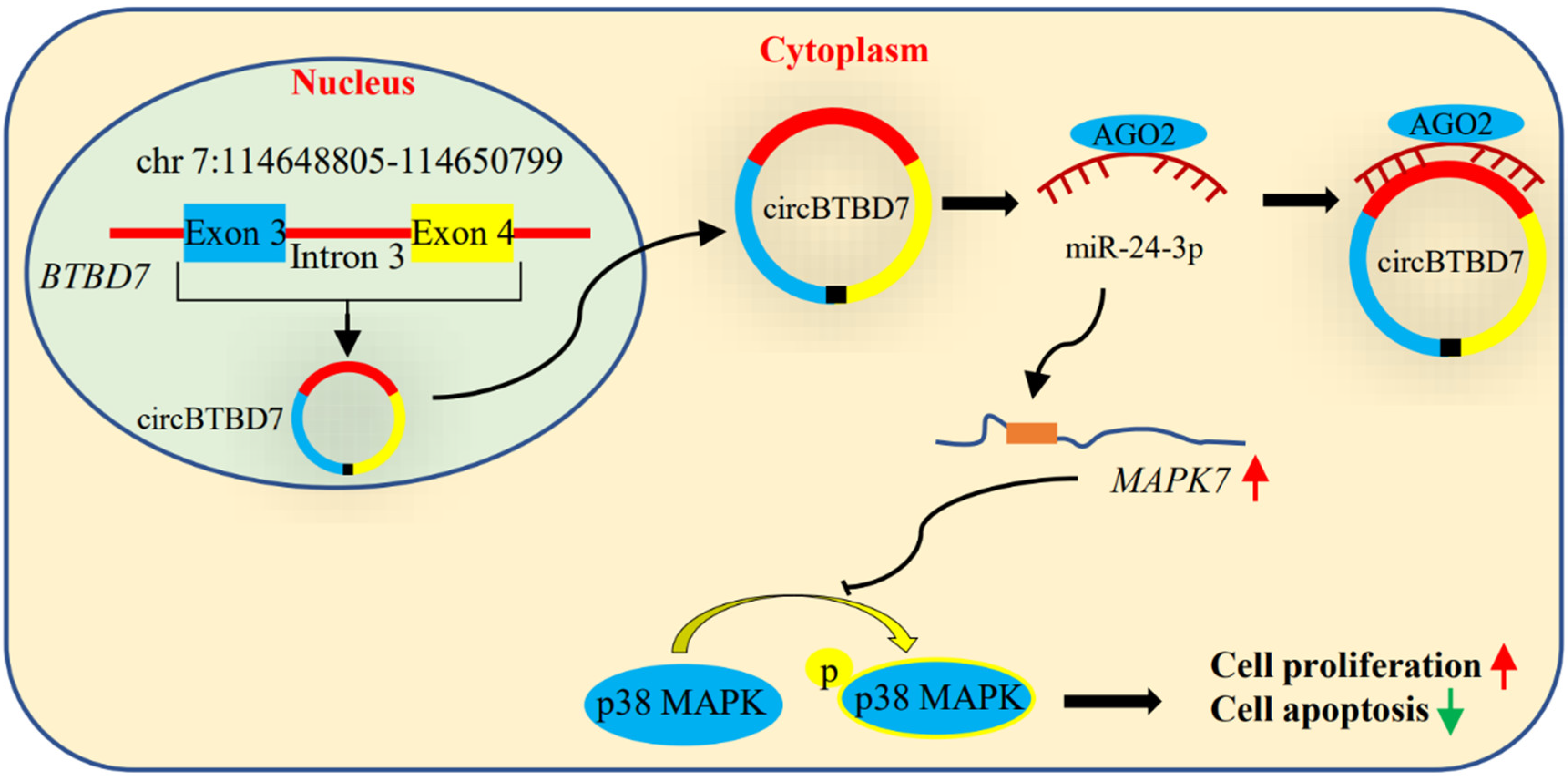 Ijms 22 09385 g010 550