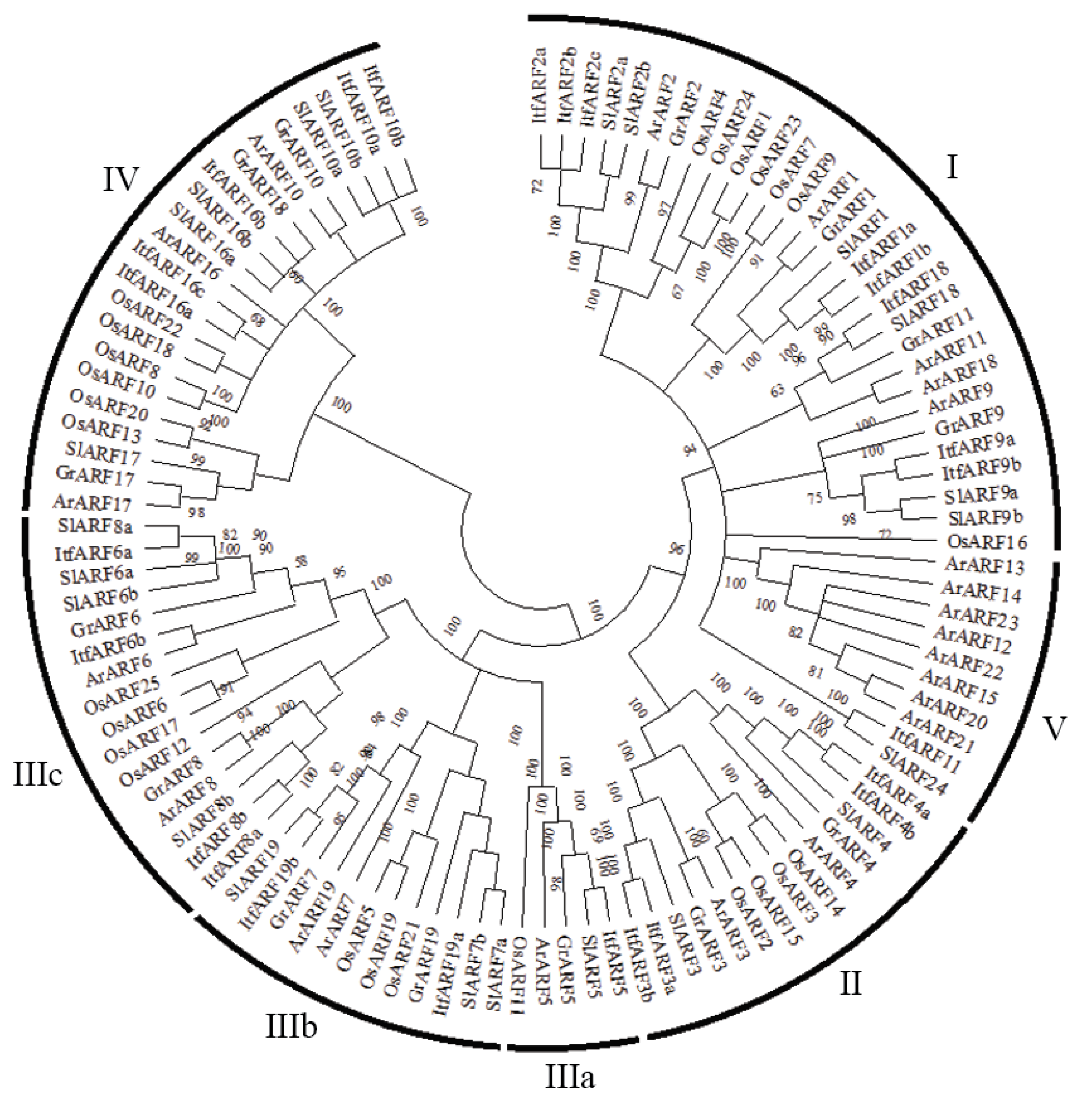 Ijms 22 09391 g001 550