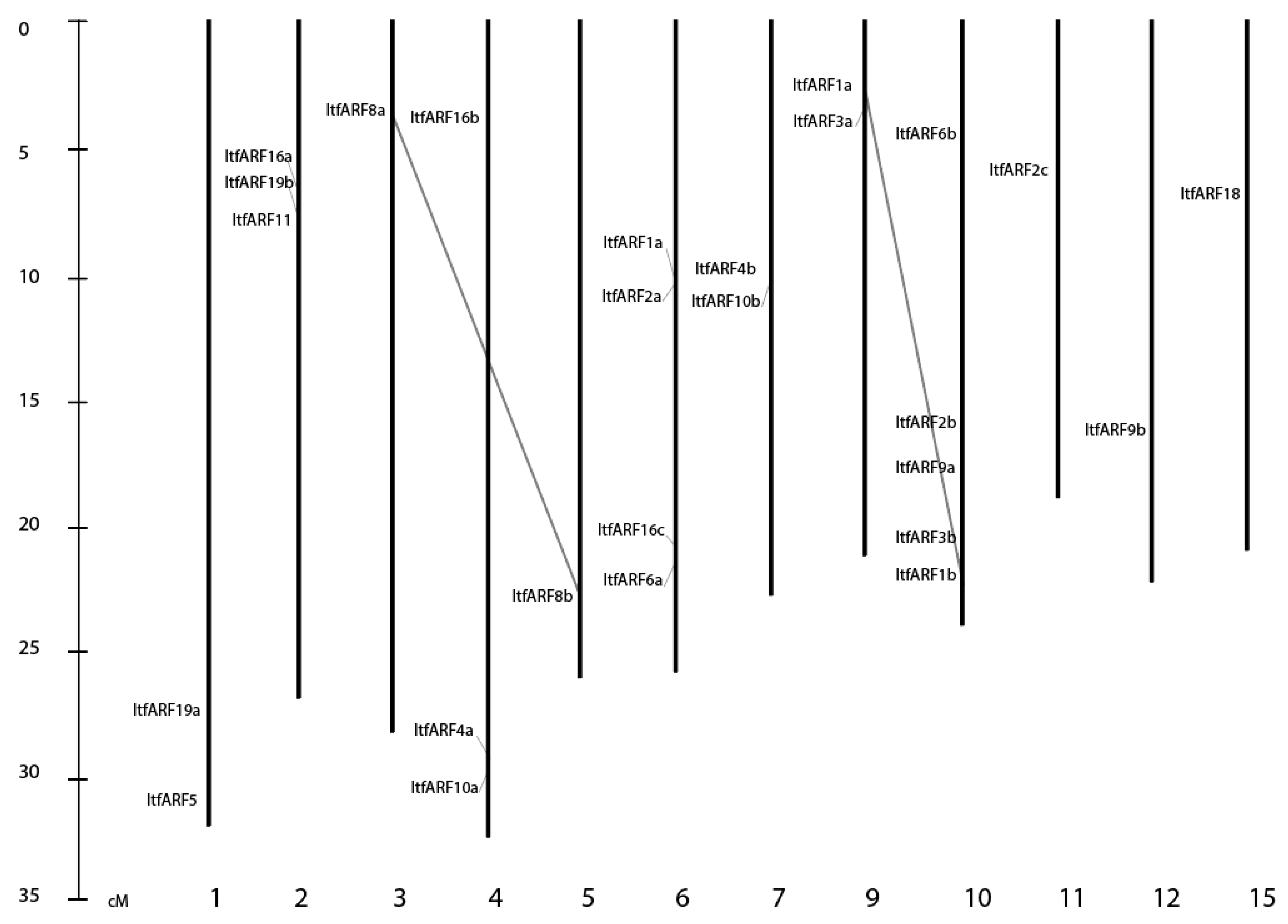 Ijms 22 09391 g002 550