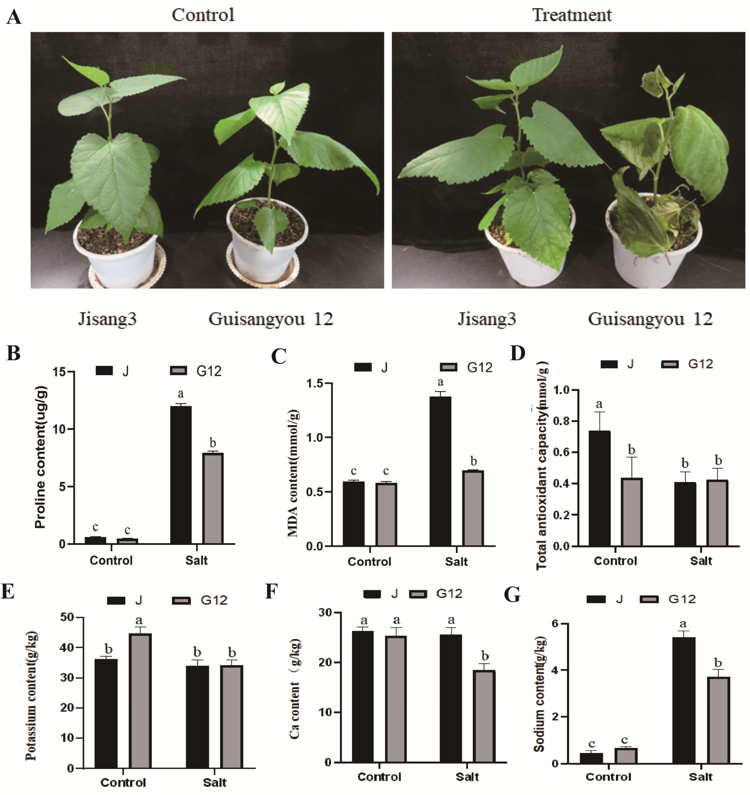 Ijms 22 09402 g001 550