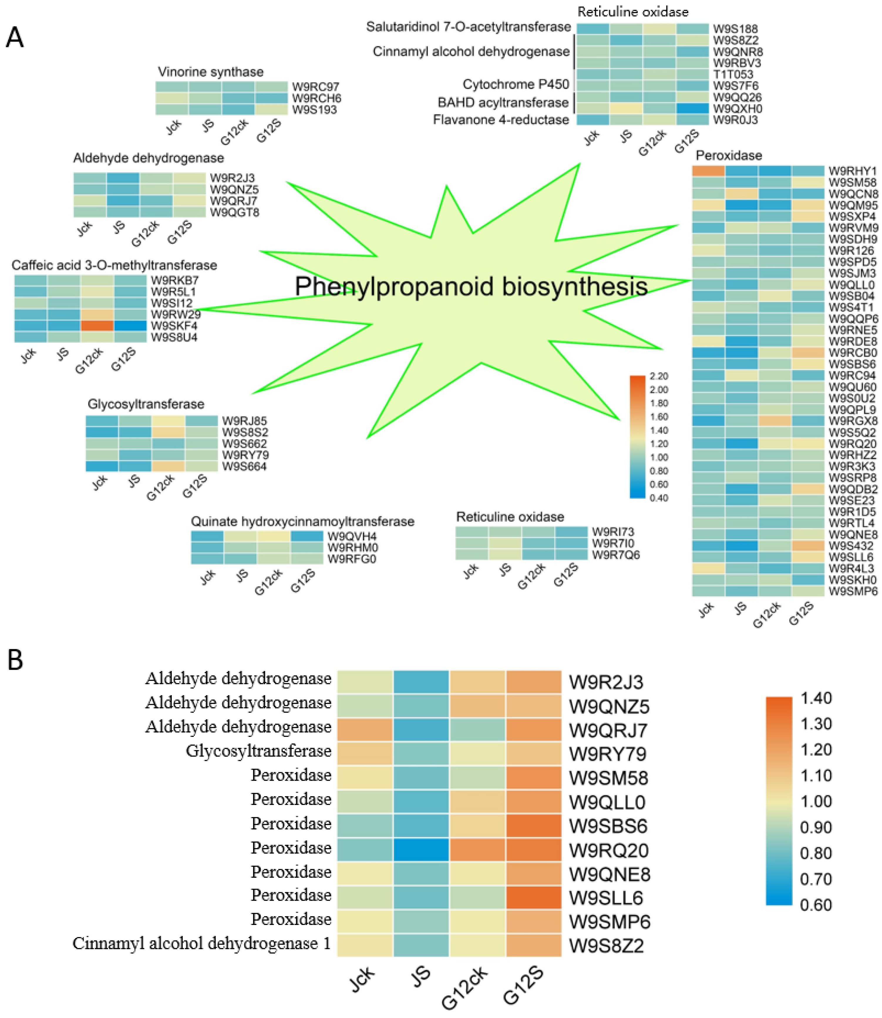 Ijms 22 09402 g005 550