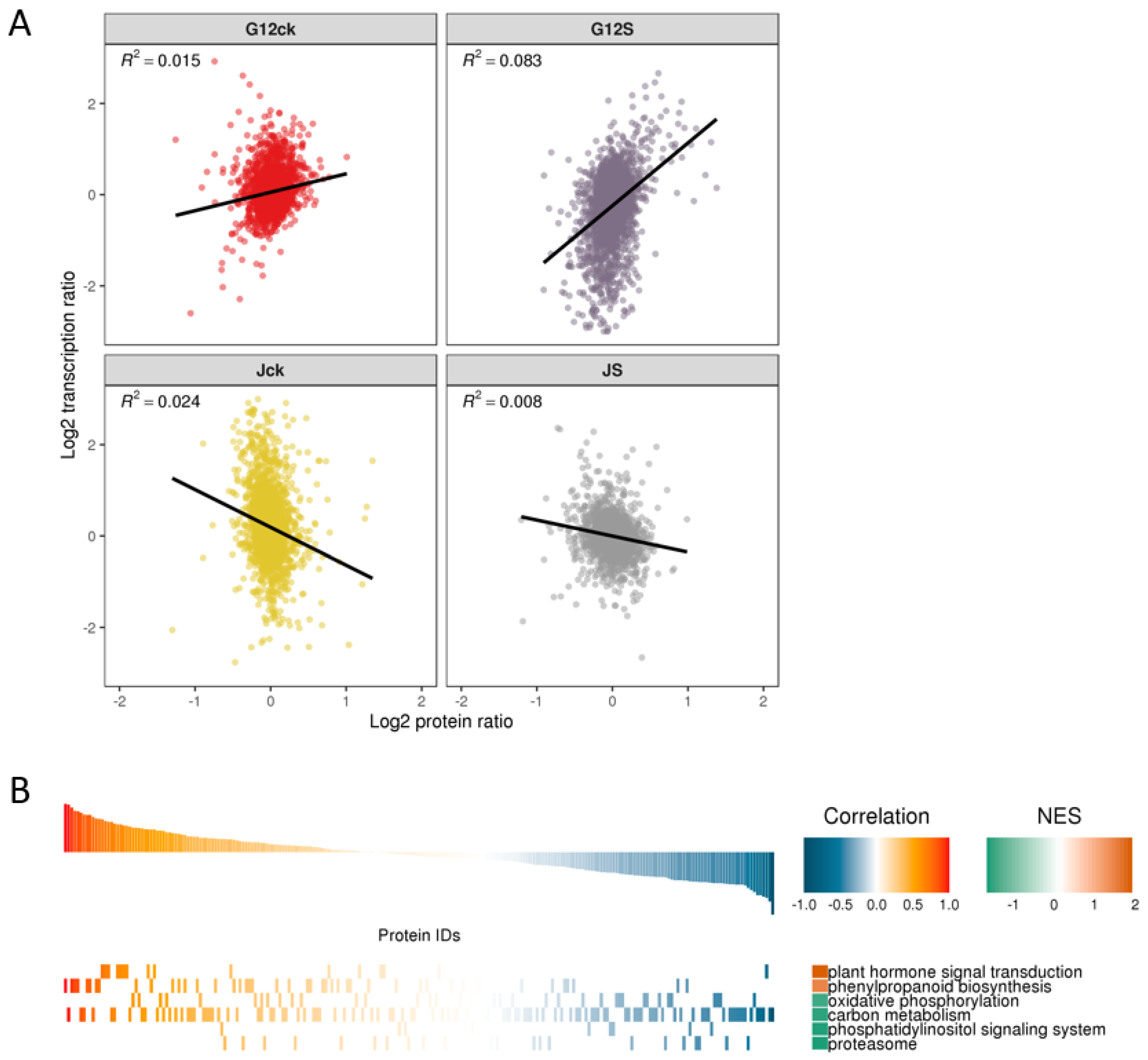 Ijms 22 09402 g006 550