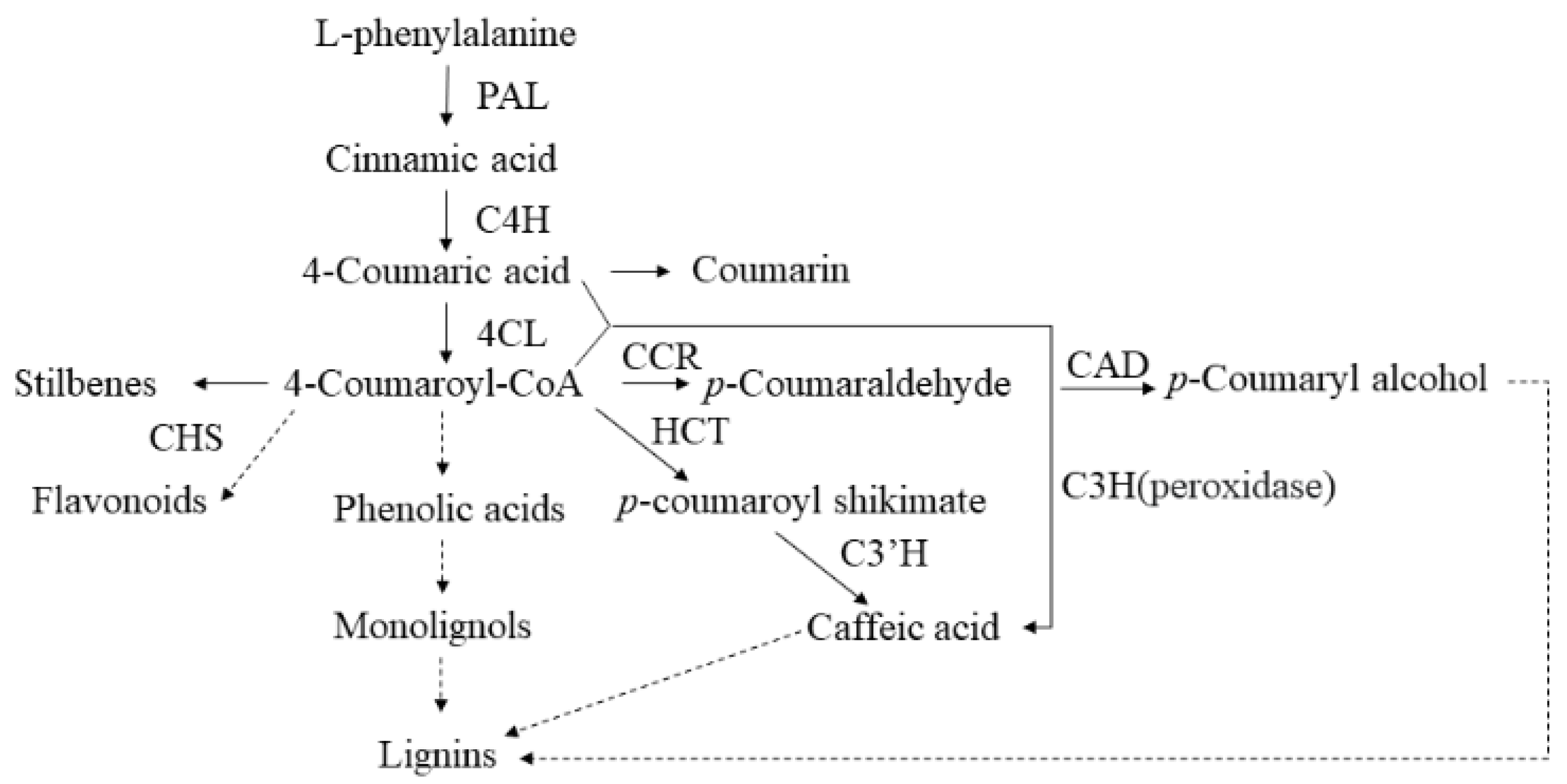 Ijms 22 09402 g007 550