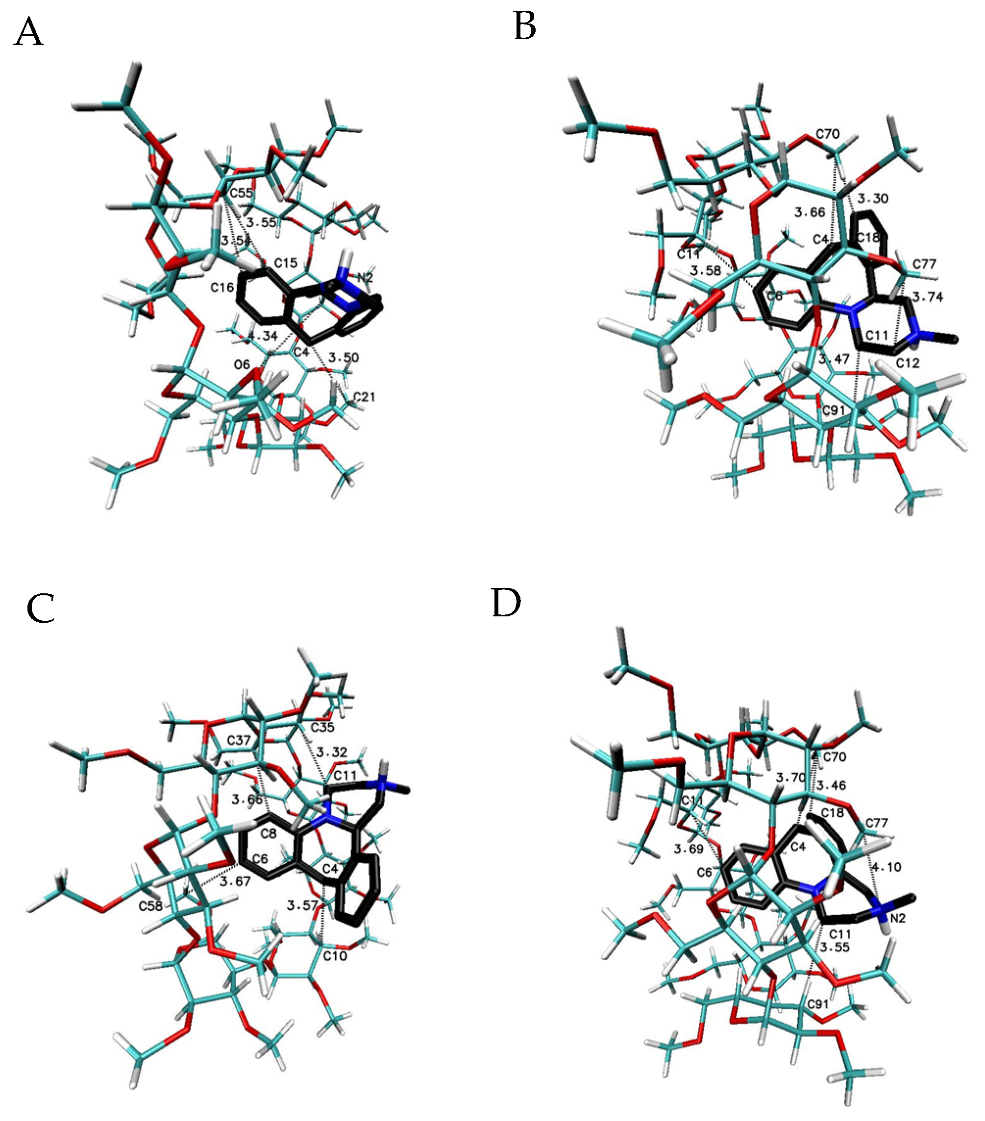 Ijms 22 09419 g009 Ijms 22 09419 g009