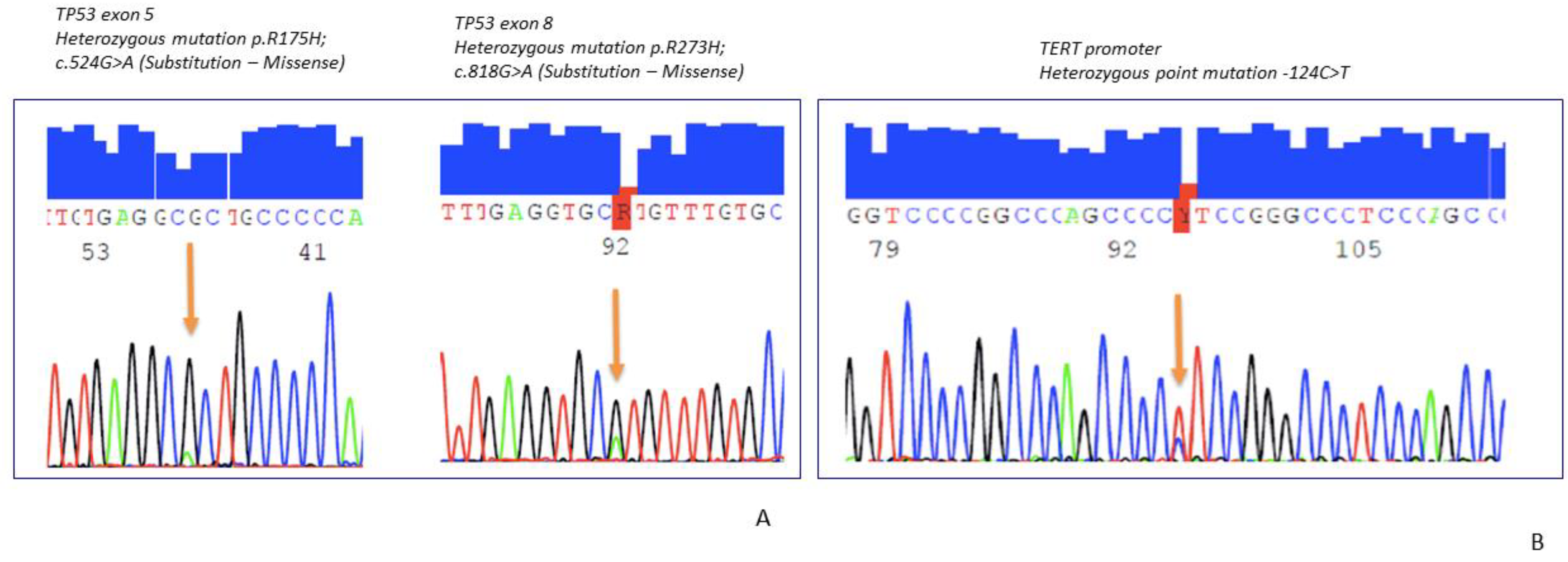 Ijms 22 09423 g003 550