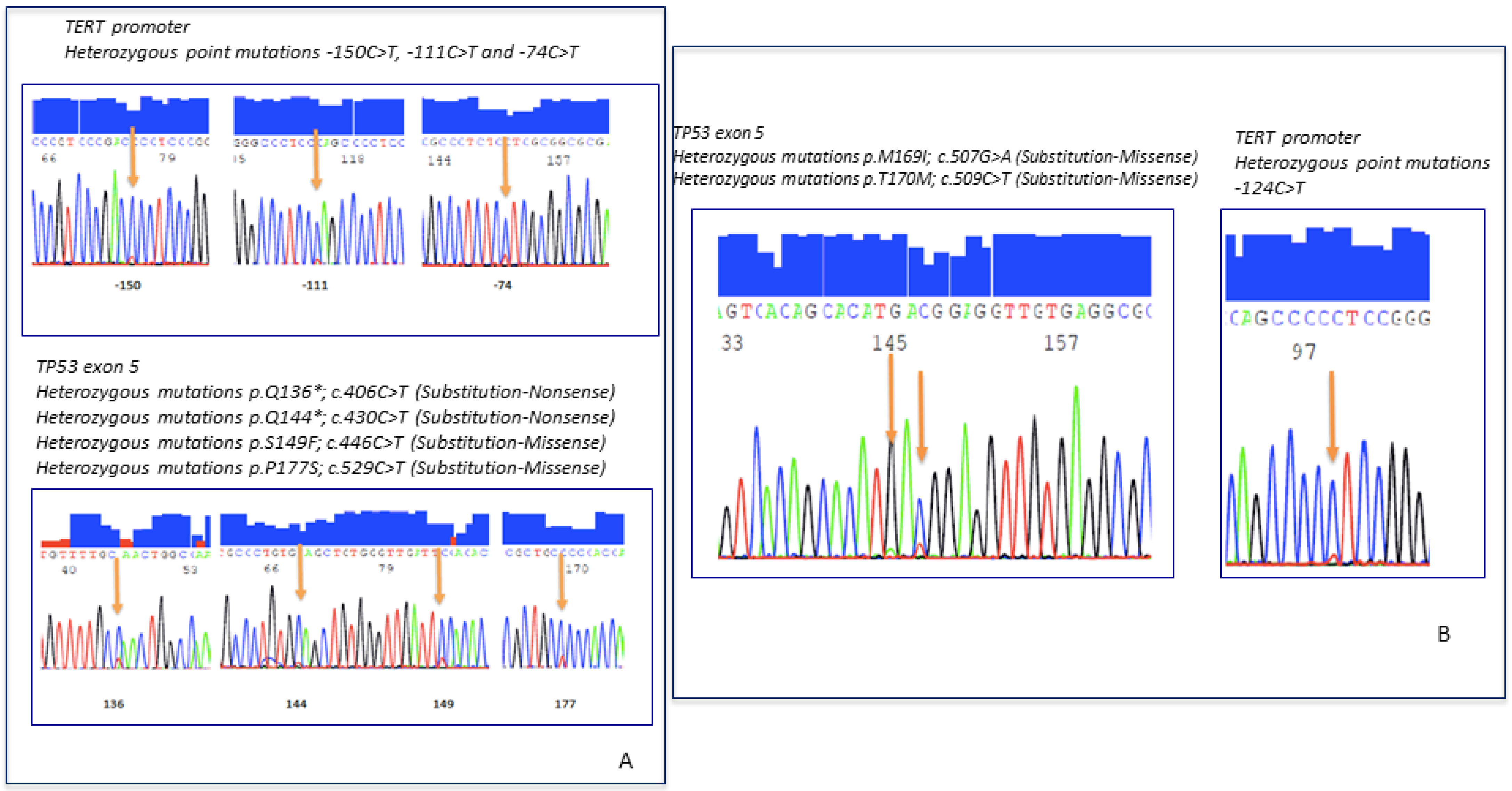 Ijms 22 09423 g004 550