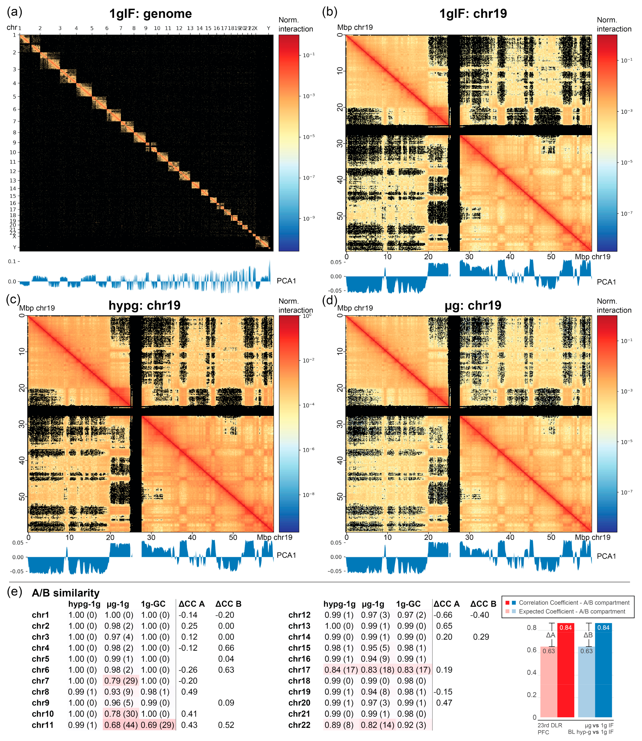 ijms free full text gravitational force induced 3d chromosomal conformational changes are associated with rapid transcriptional response in human t cells html