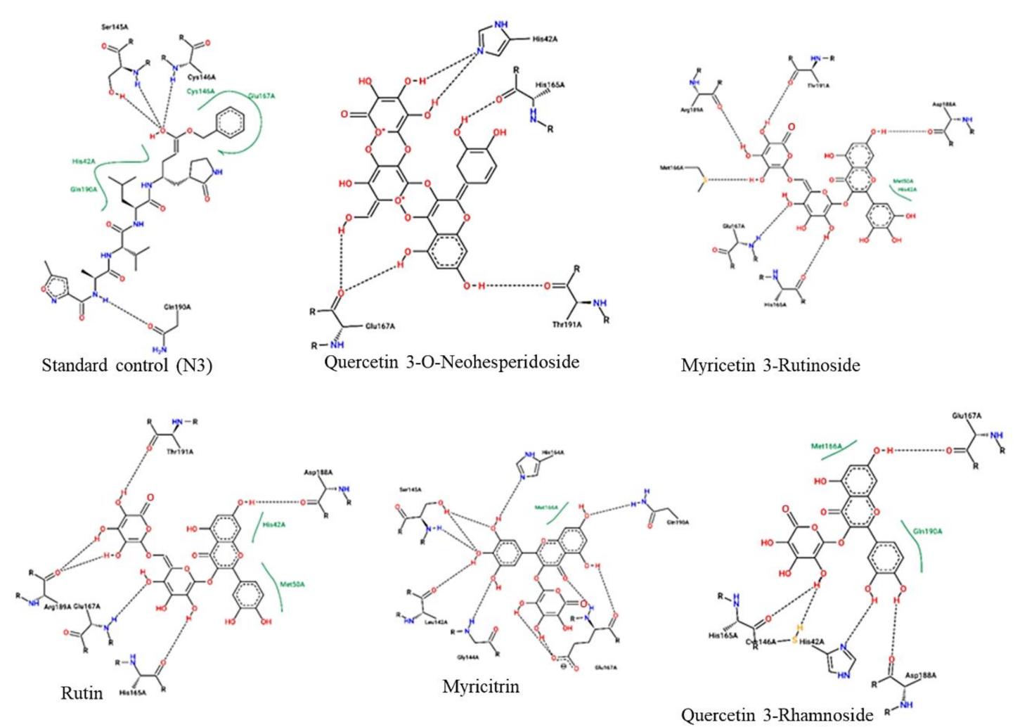 Ijms 22 09431 g001 550