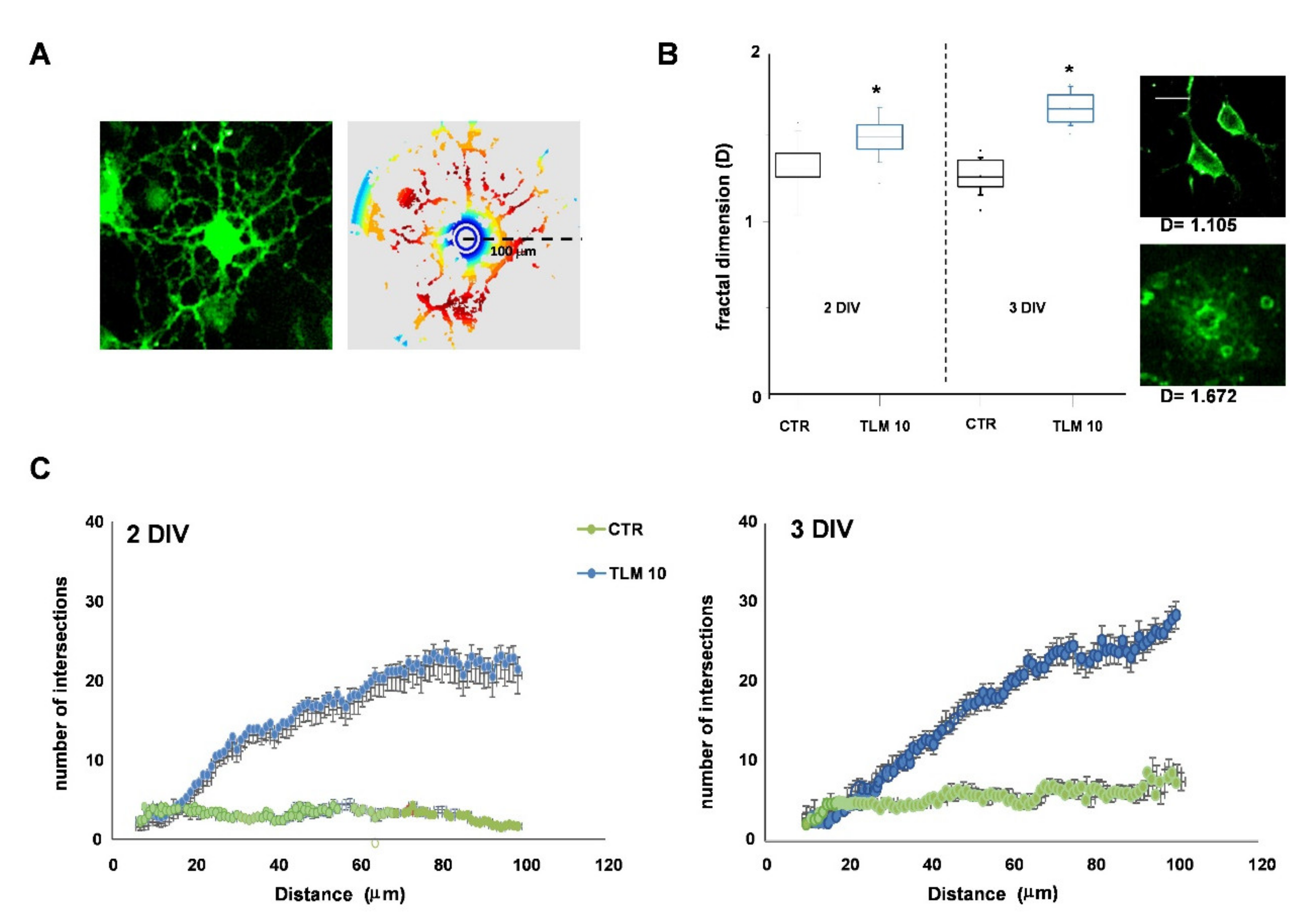 Ijms 22 09434 g004 550