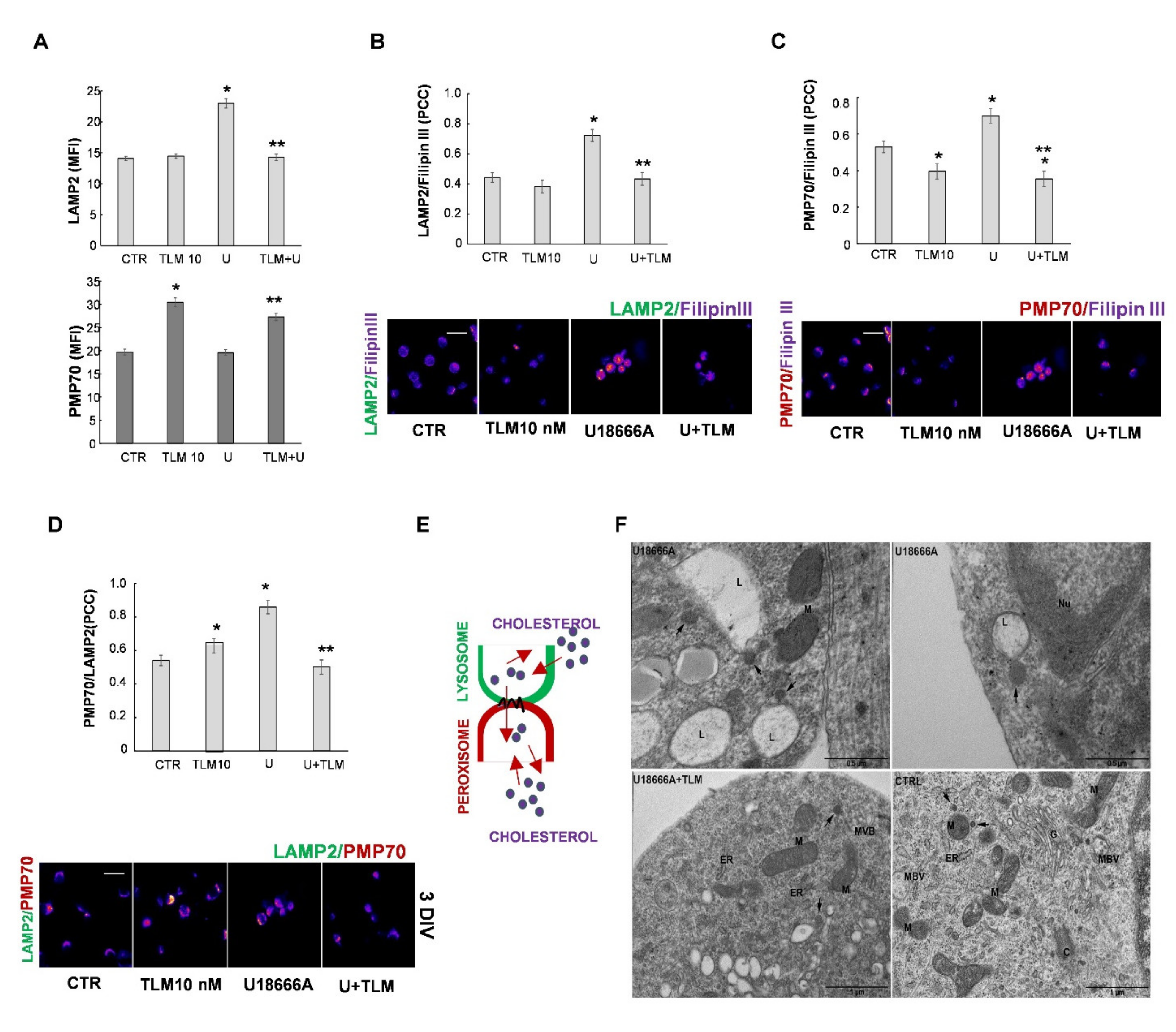 Ijms 22 09434 g006 550