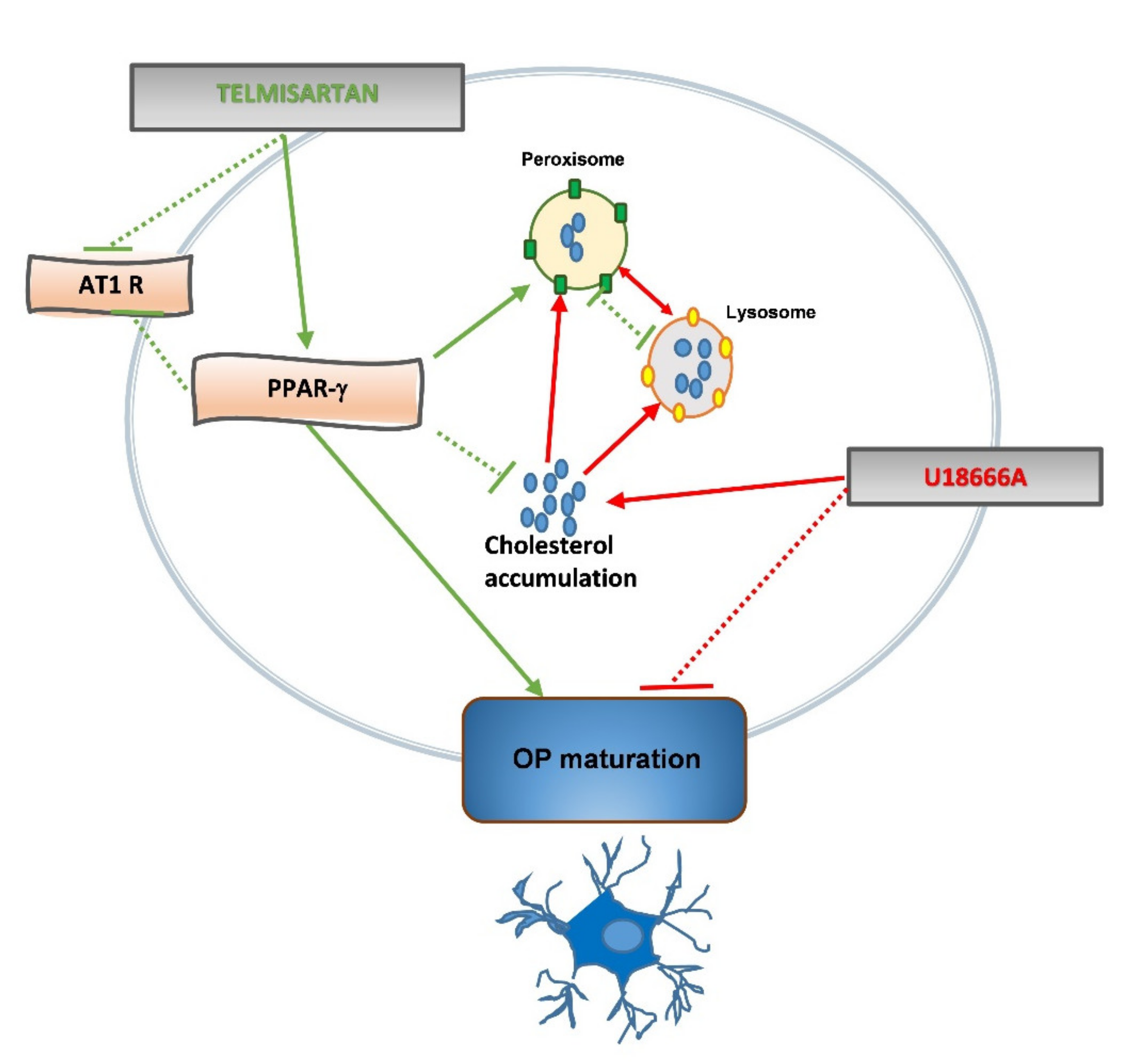 Ijms 22 09434 g008 550