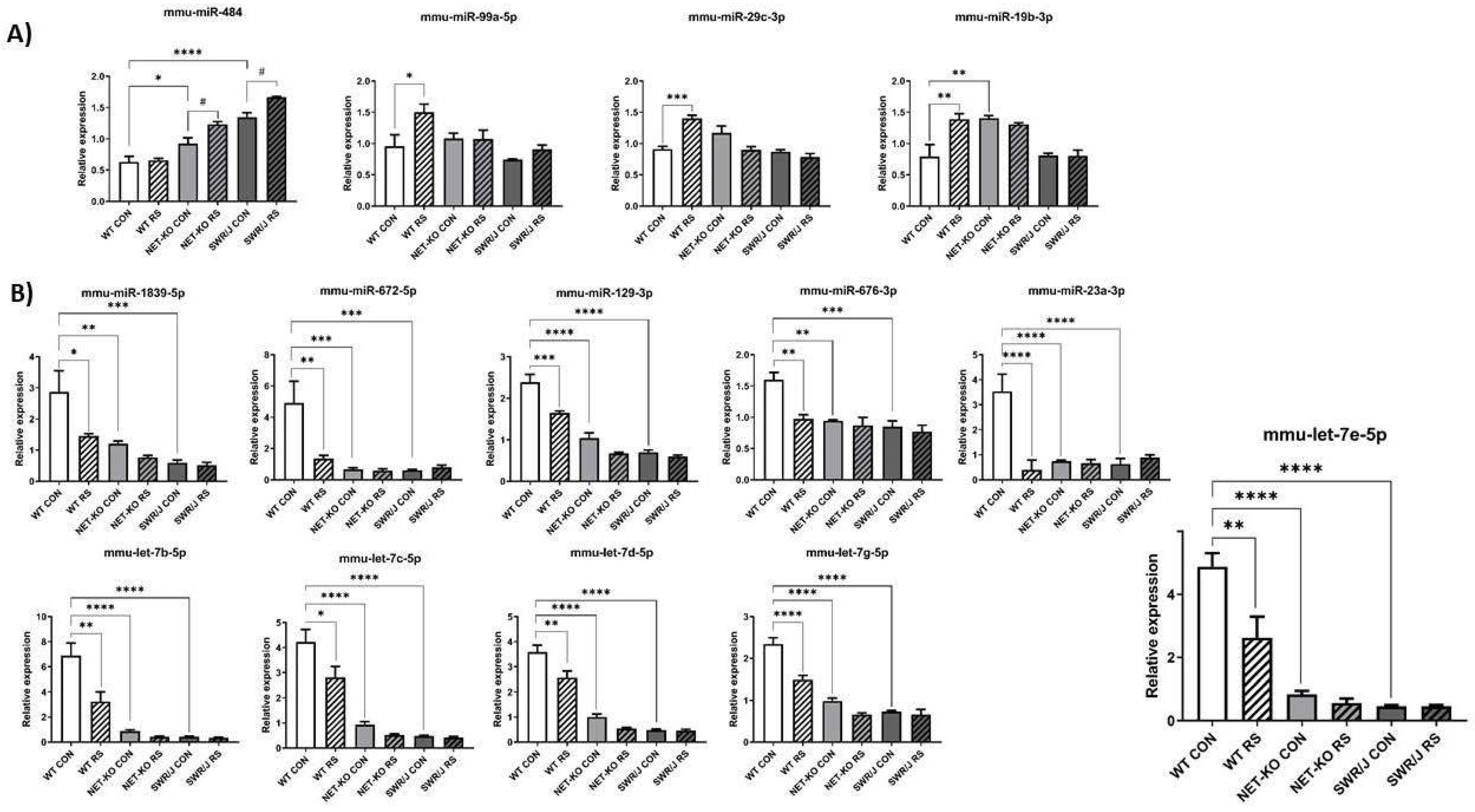 Ijms 22 09439 g001 Ijms 22 09439 g001