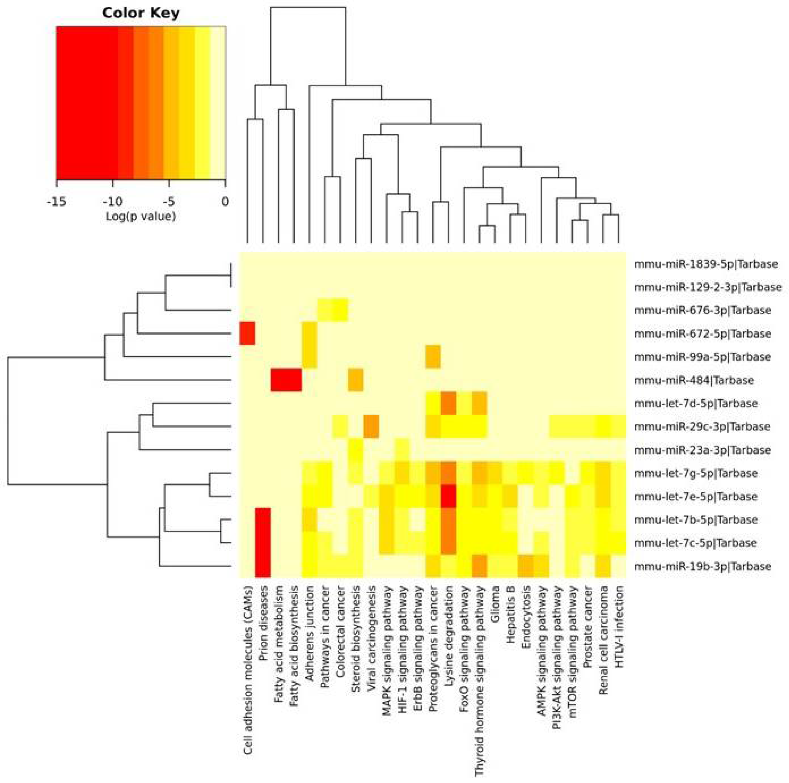Ijms 22 09439 g002 Ijms 22 09439 g002