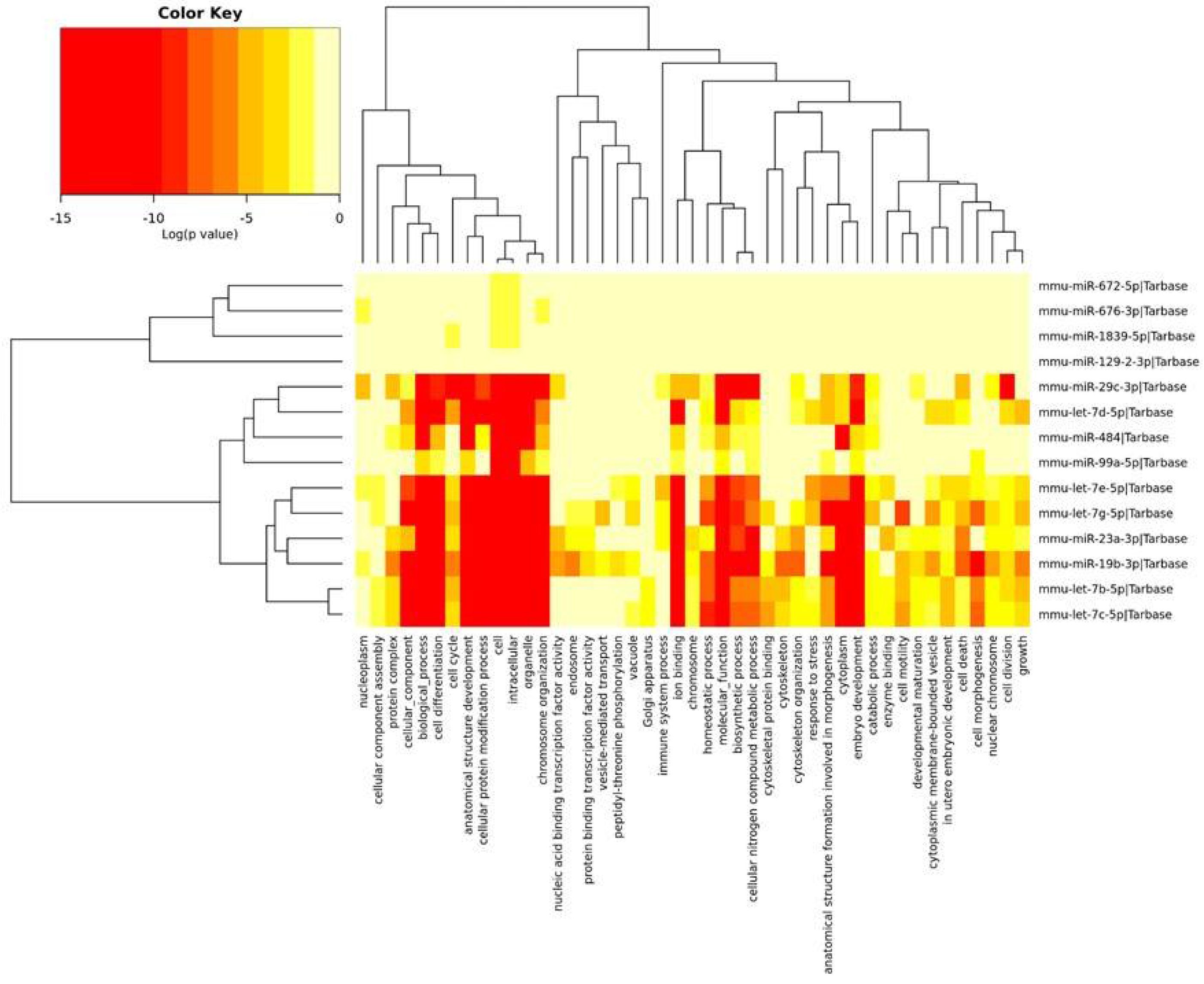 Ijms 22 09439 g003 Ijms 22 09439 g003