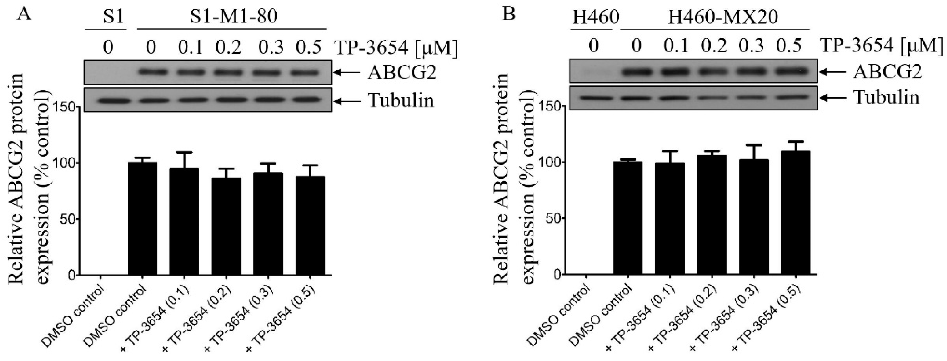 The Second-Generation PIM Kinase Inhibitor TP-3654