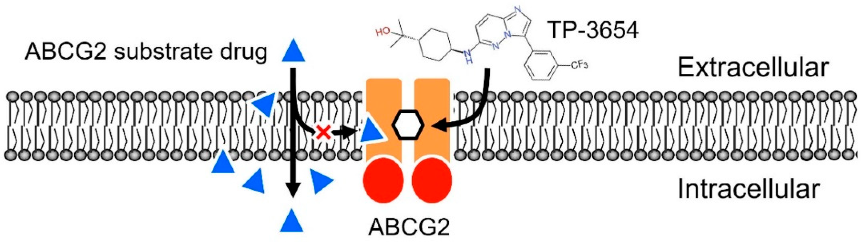 The Second-Generation PIM Kinase Inhibitor TP-3654