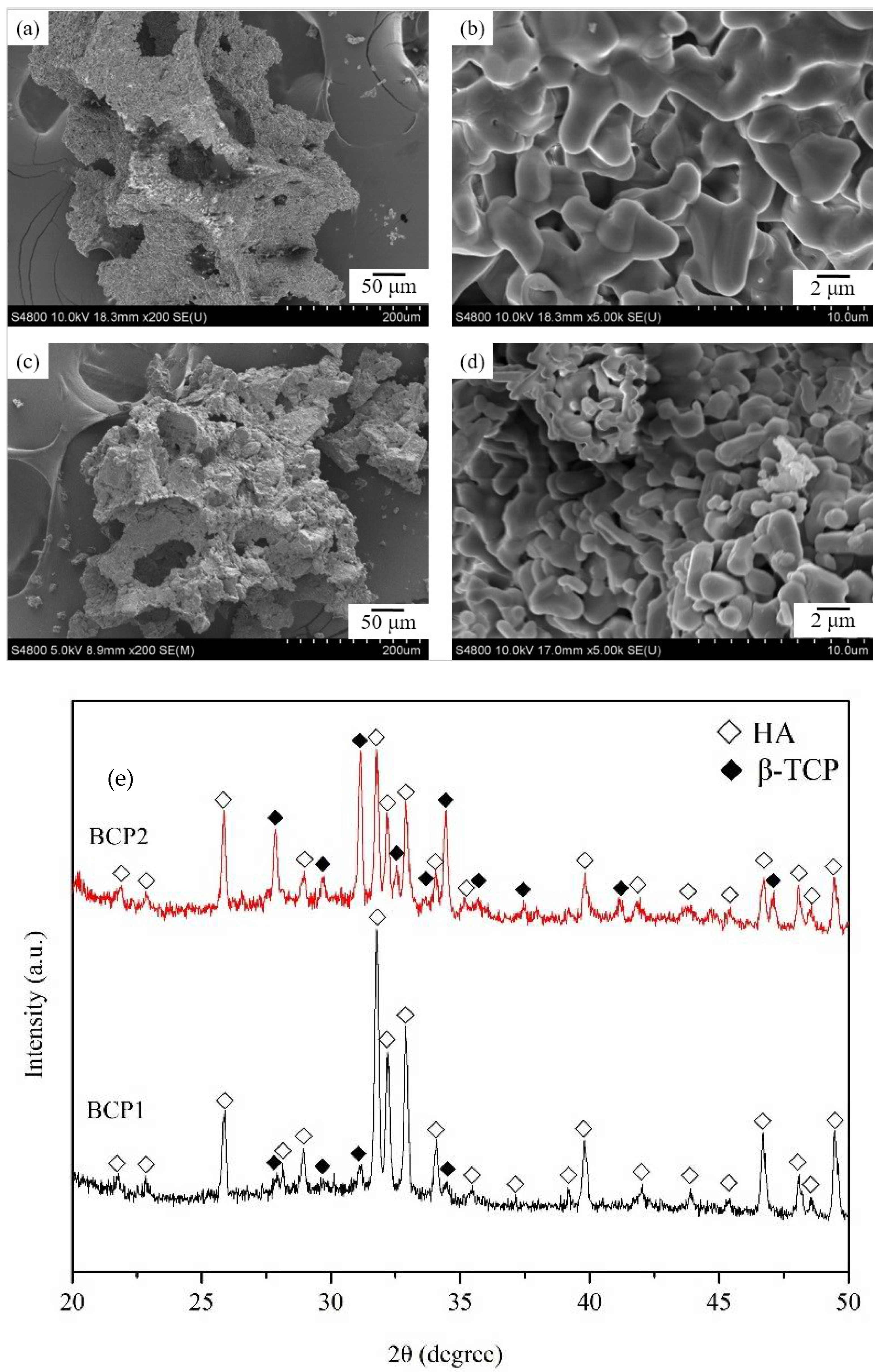 Ijms Free Full Text Porous Biphasic Calcium Phosphate Granules From Oyster Shell Promote The Differentiation Of Induced Pluripotent Stem Cells Ijms Free Full Text Porous Biphasic Calcium Phosphate Granules From Oyster Shell Promote The Differentiation Of Induced Pluripotent Stem Cells