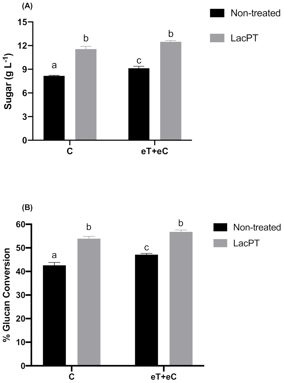 Ijms 22 09445 g004 550