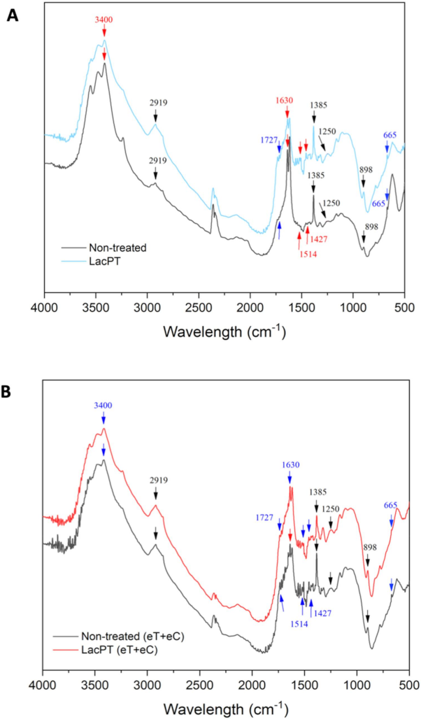 Ijms 22 09445 g010 550
