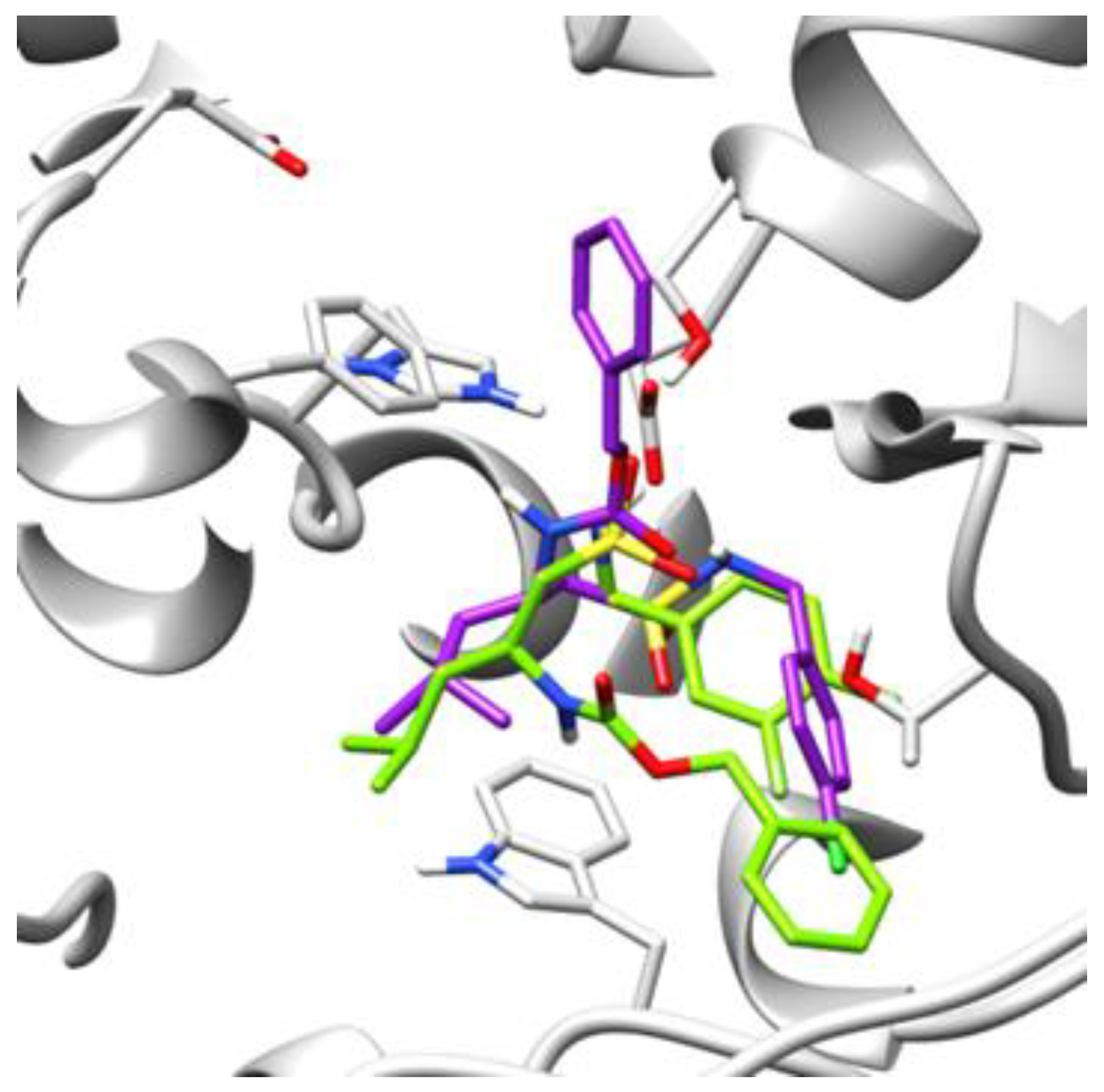 Ijms 22 09447 g001 550