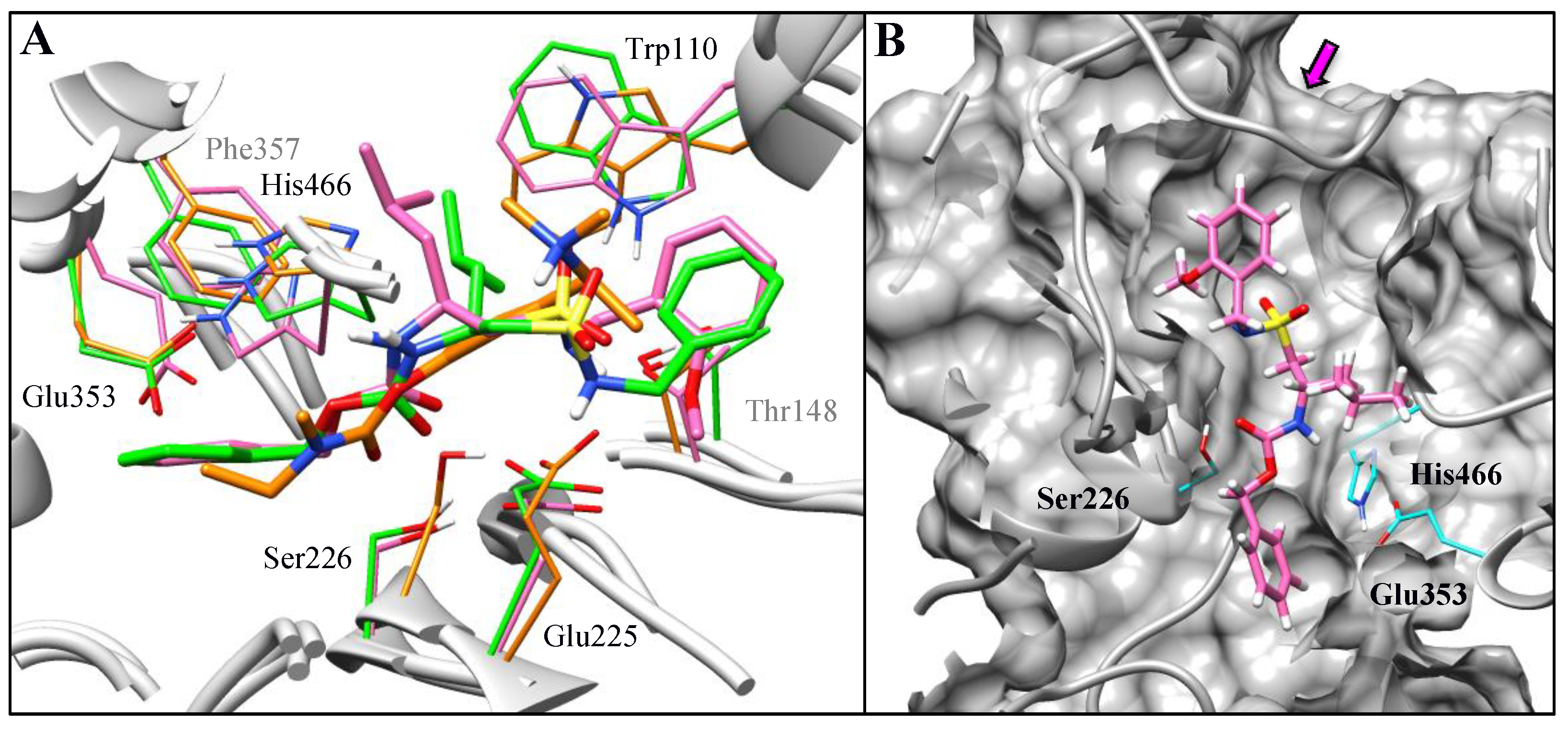 Ijms 22 09447 g002 550