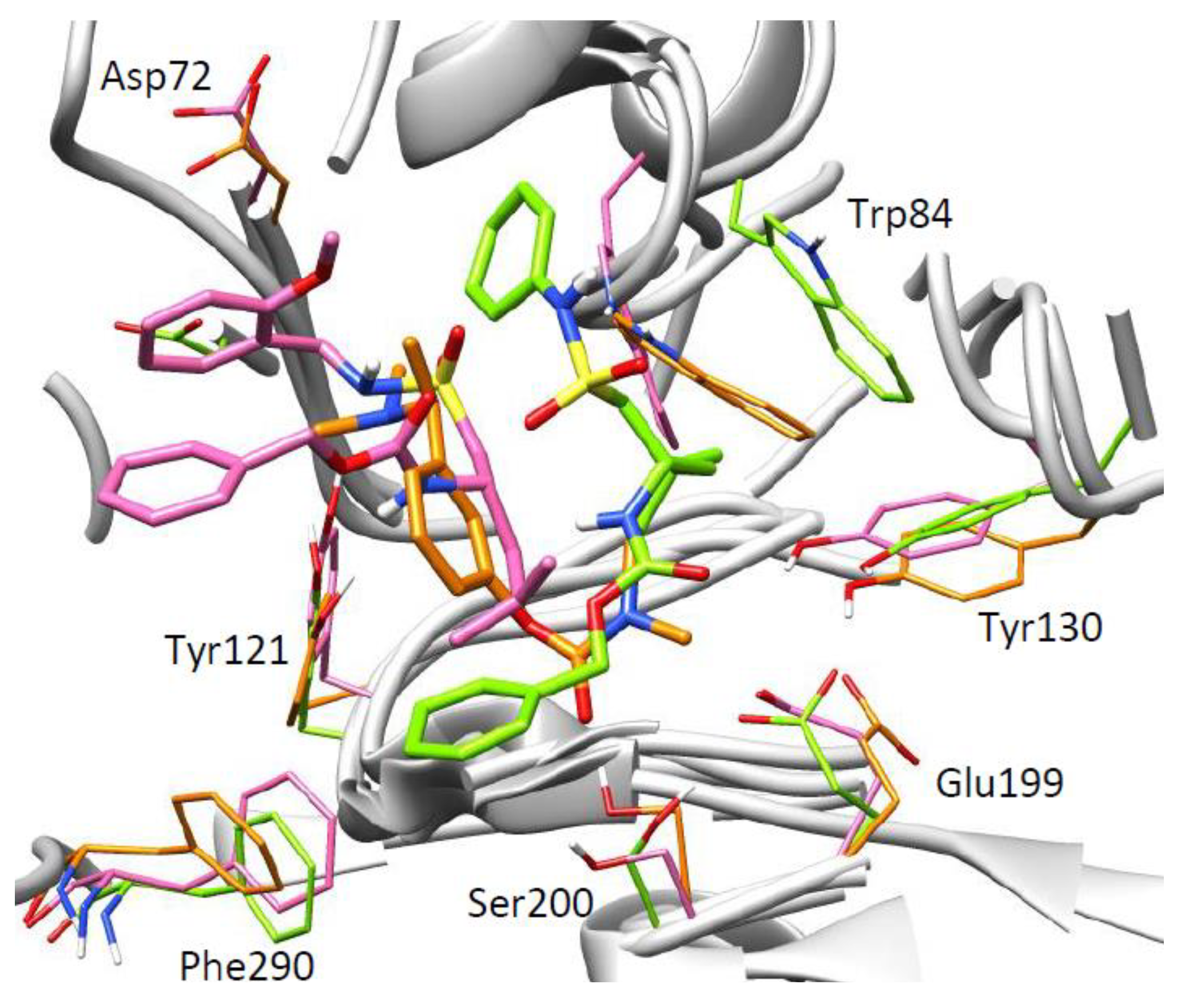 Ijms 22 09447 g005 550