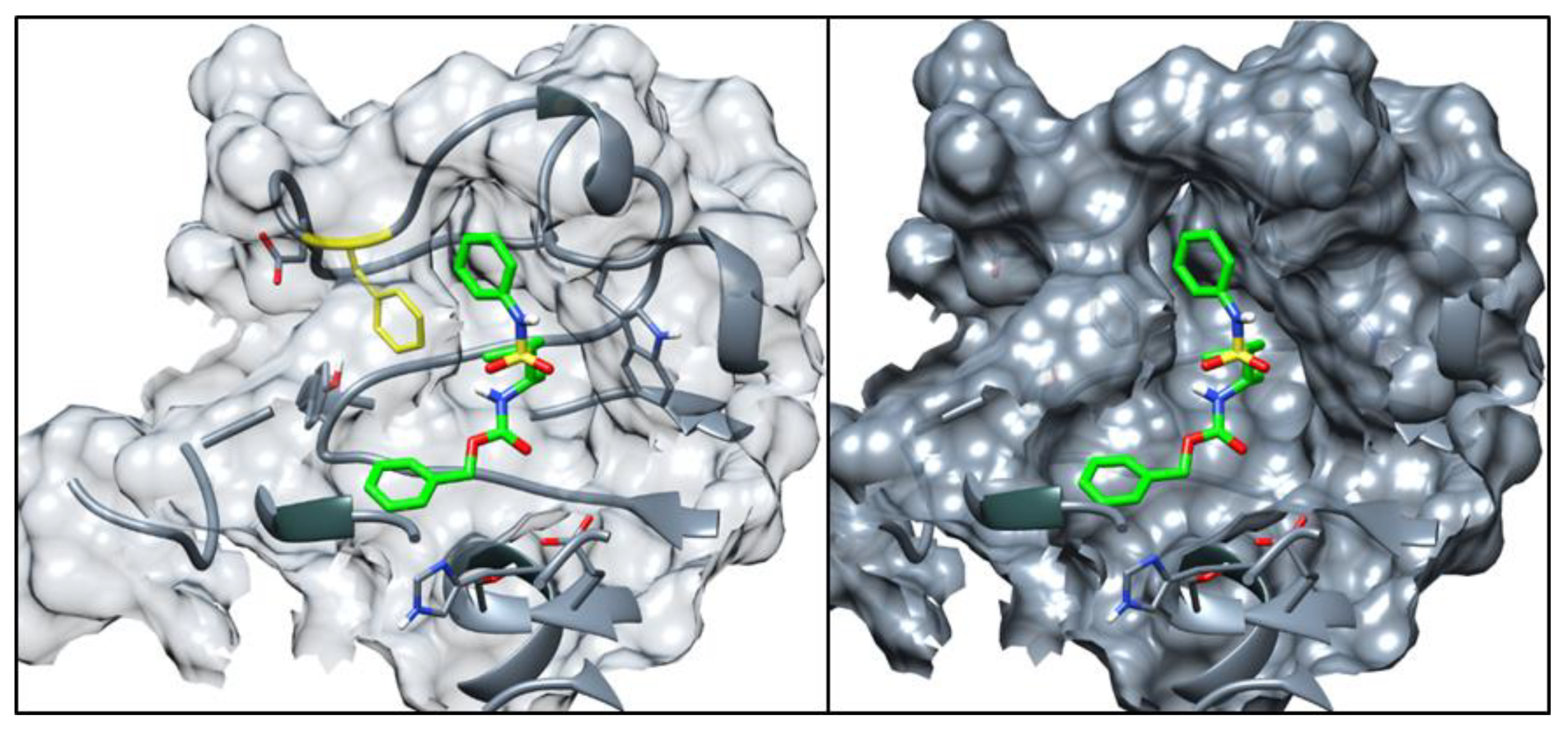 Ijms 22 09447 g007 550