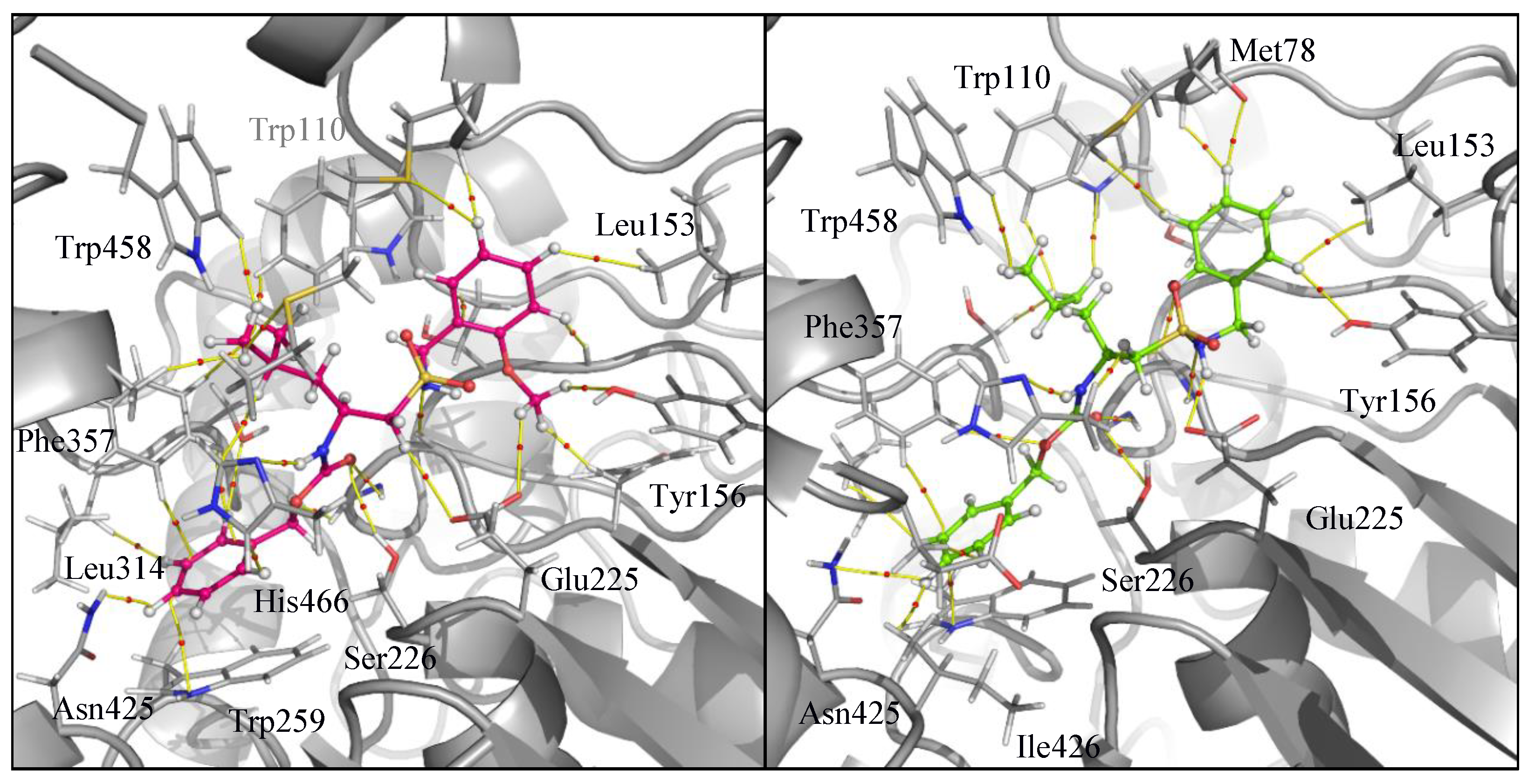 Ijms 22 09447 g009 550