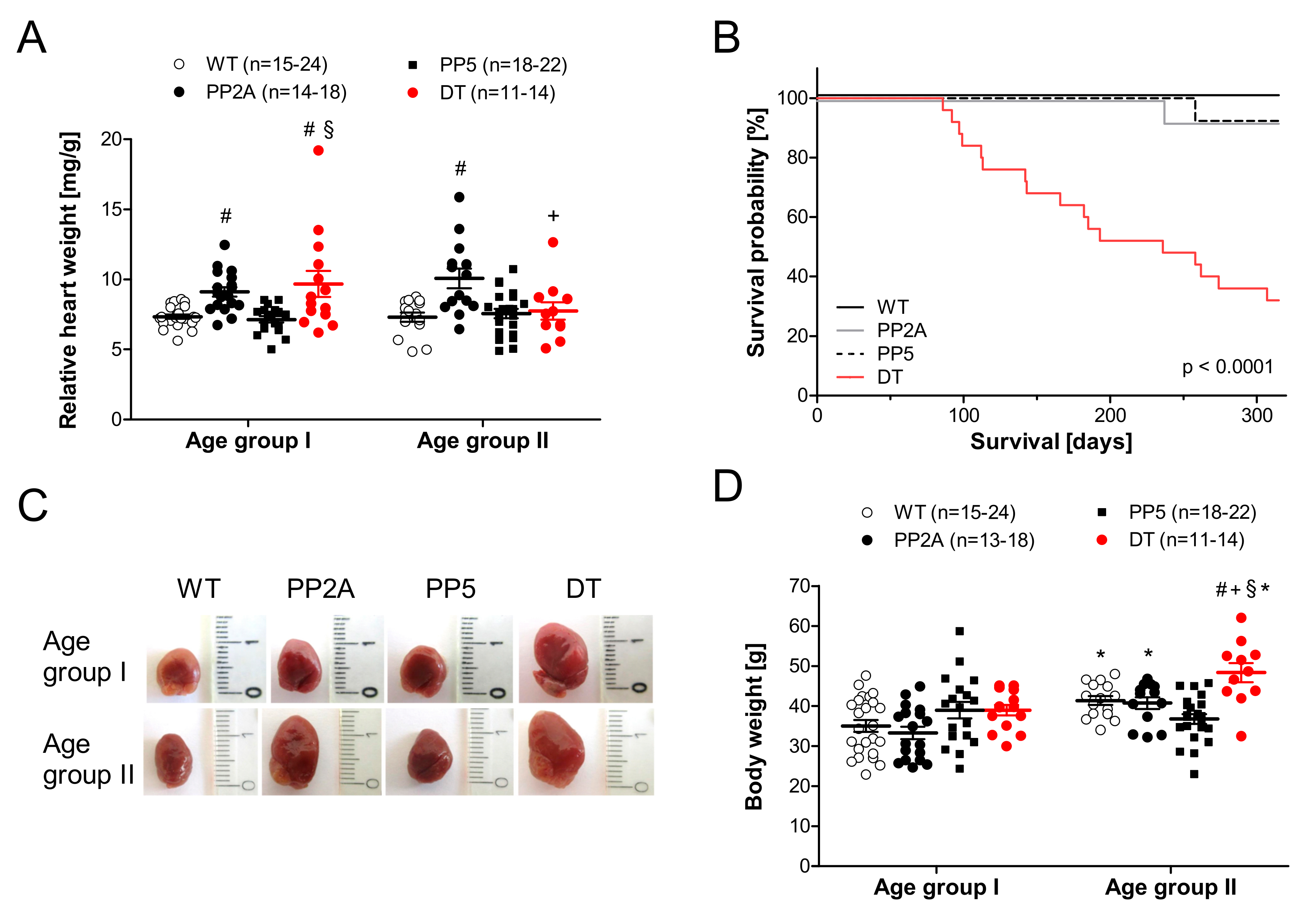 Ijms 22 09448 g002 550