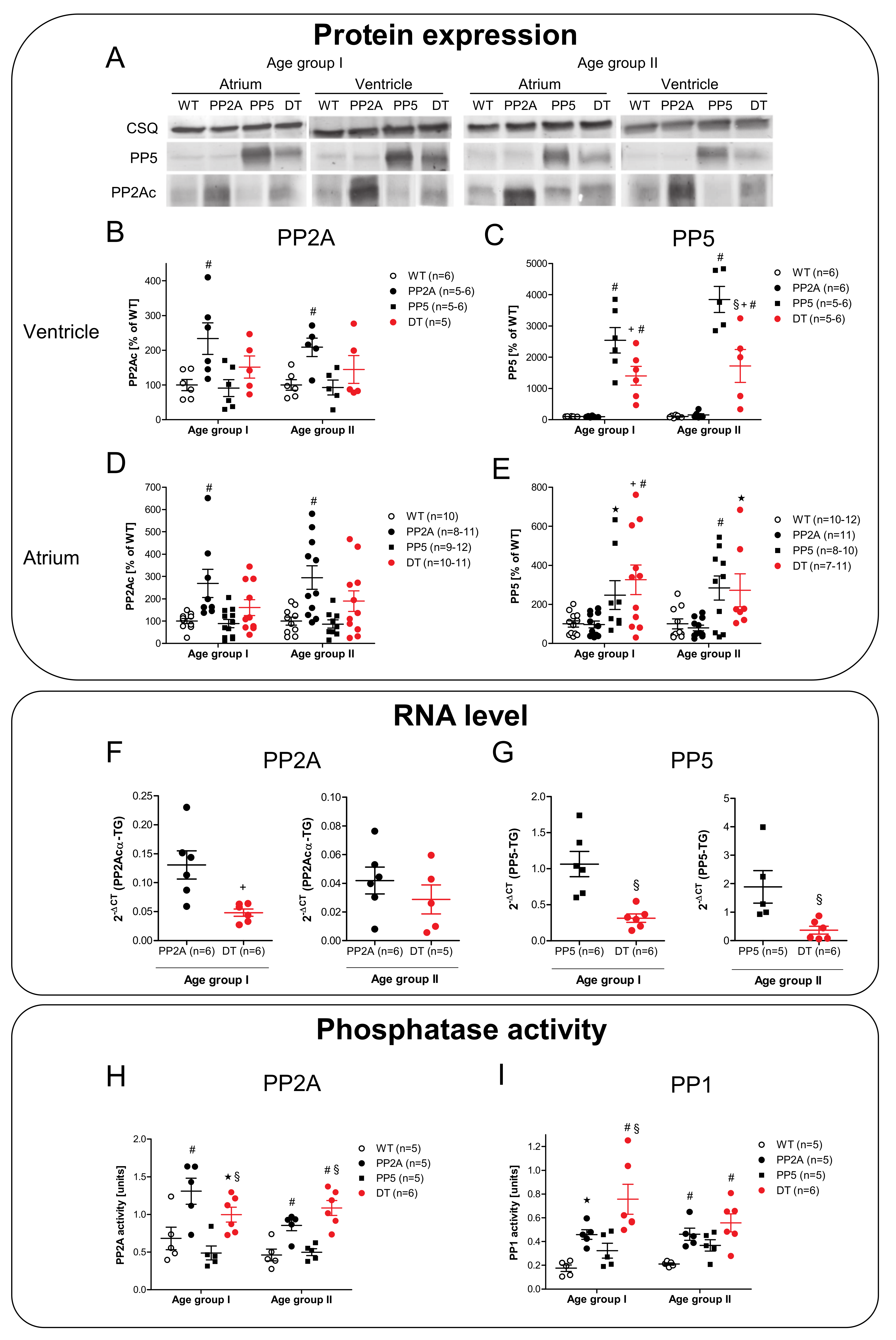 Ijms 22 09448 g004 550