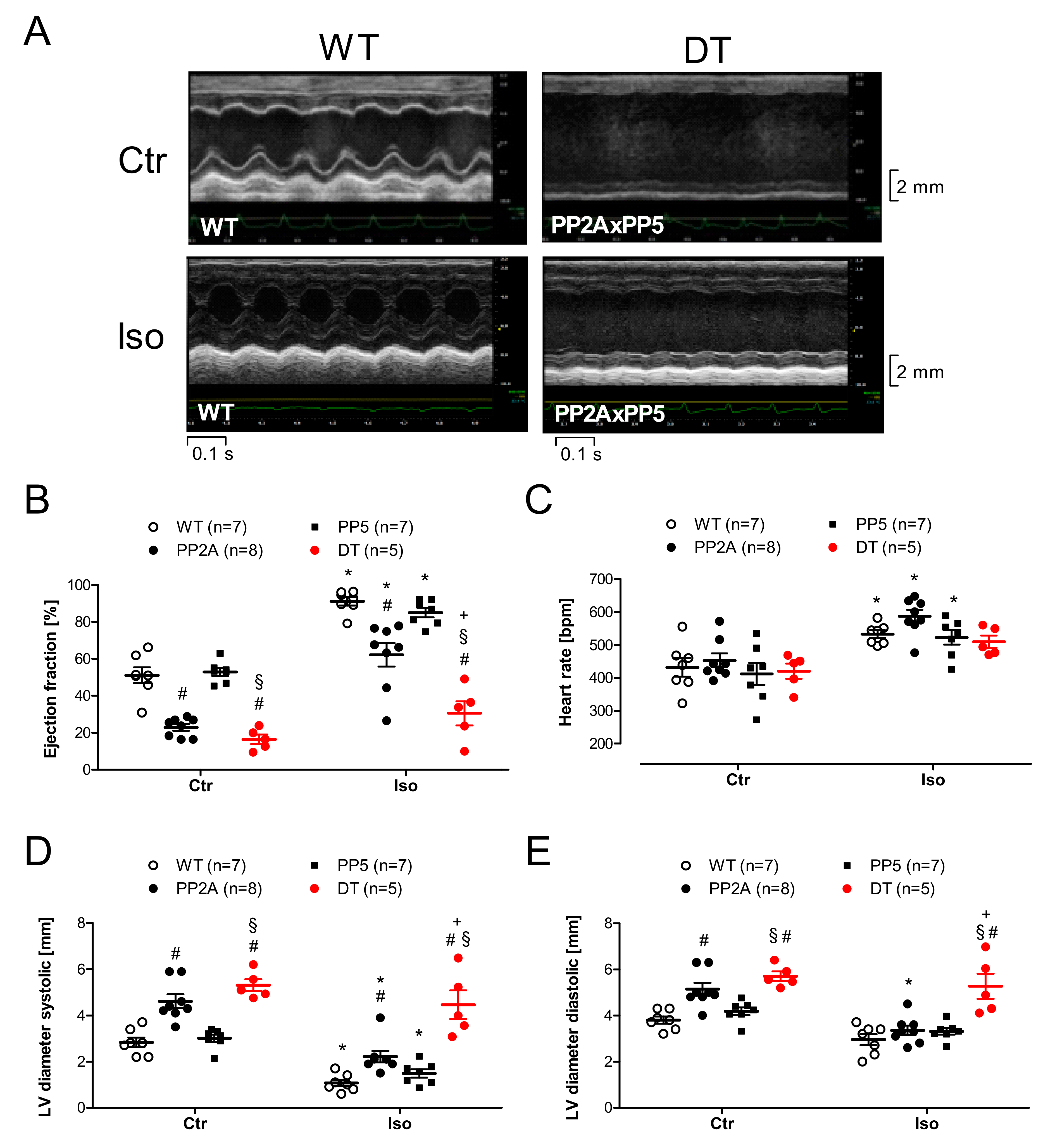 Ijms 22 09448 g007 550