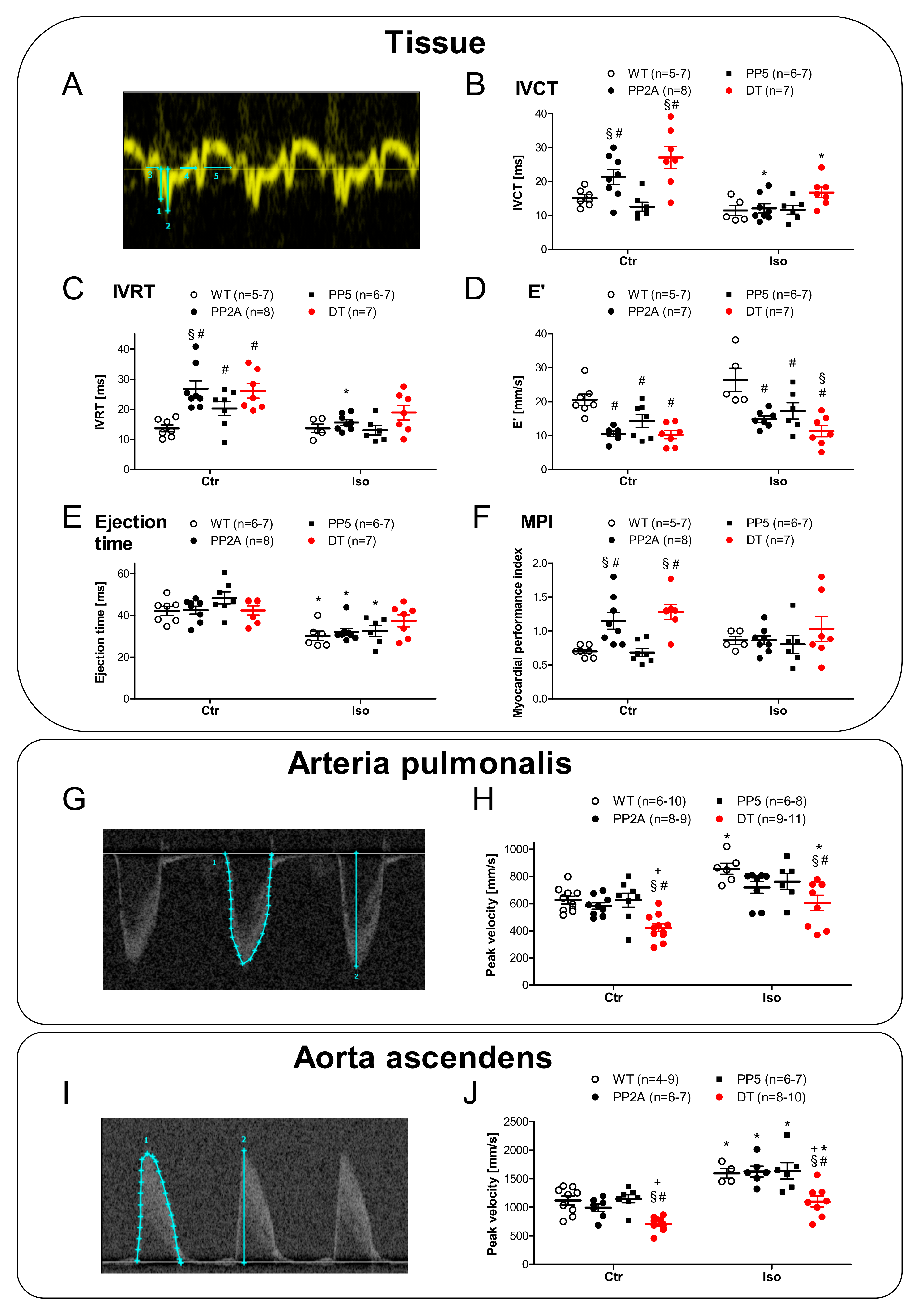 Ijms 22 09448 g008 550