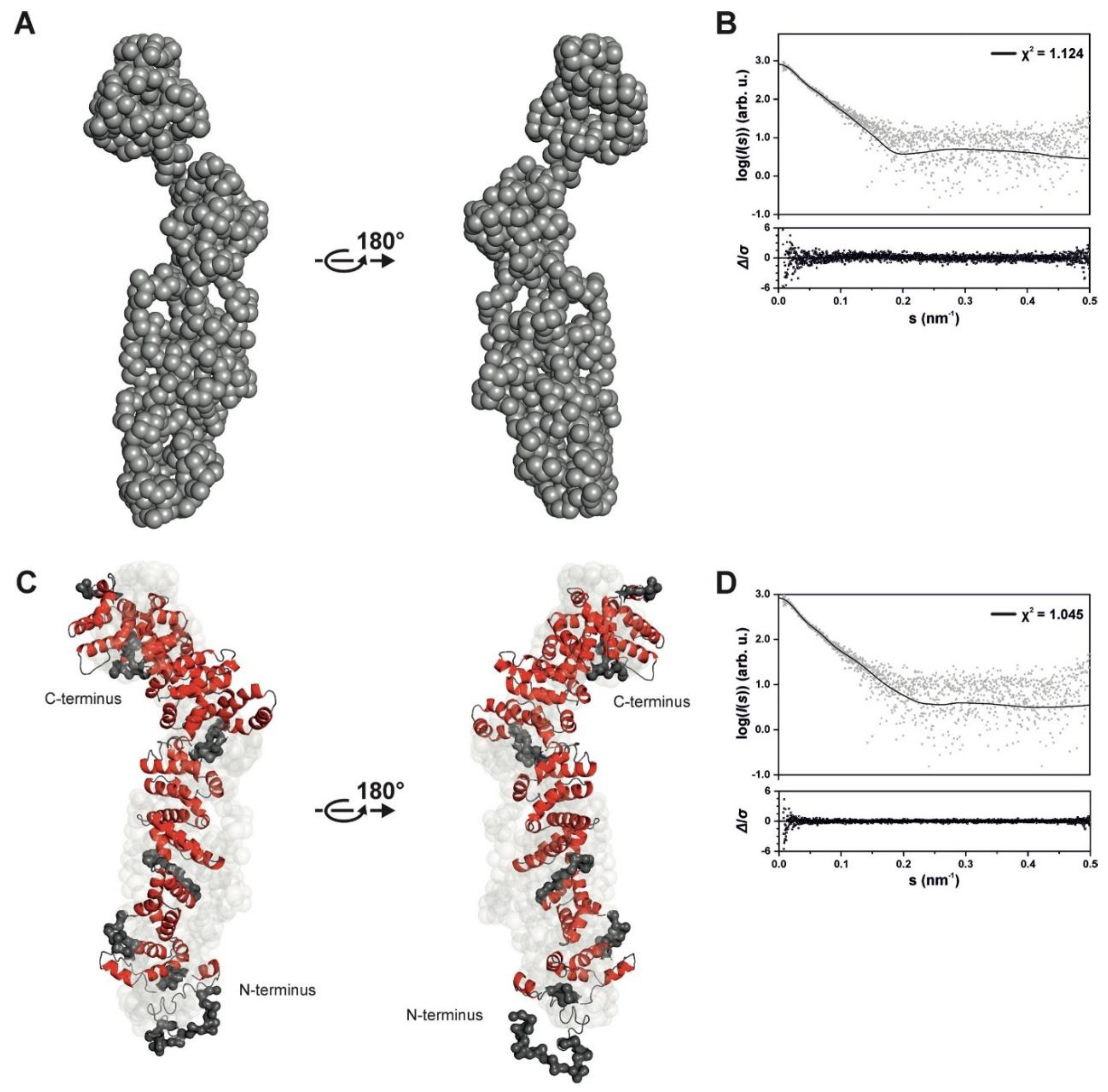 Ijms 22 09455 g003 Ijms 22 09455 g003