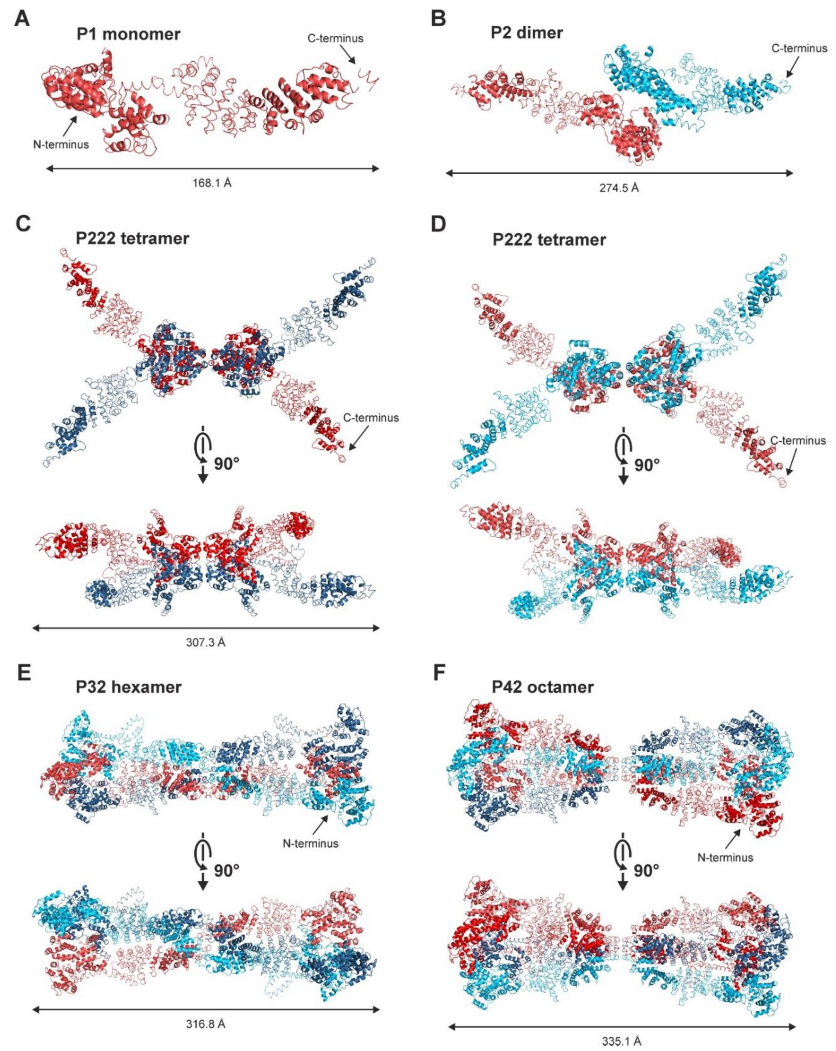 Ijms 22 09455 g006 Ijms 22 09455 g006