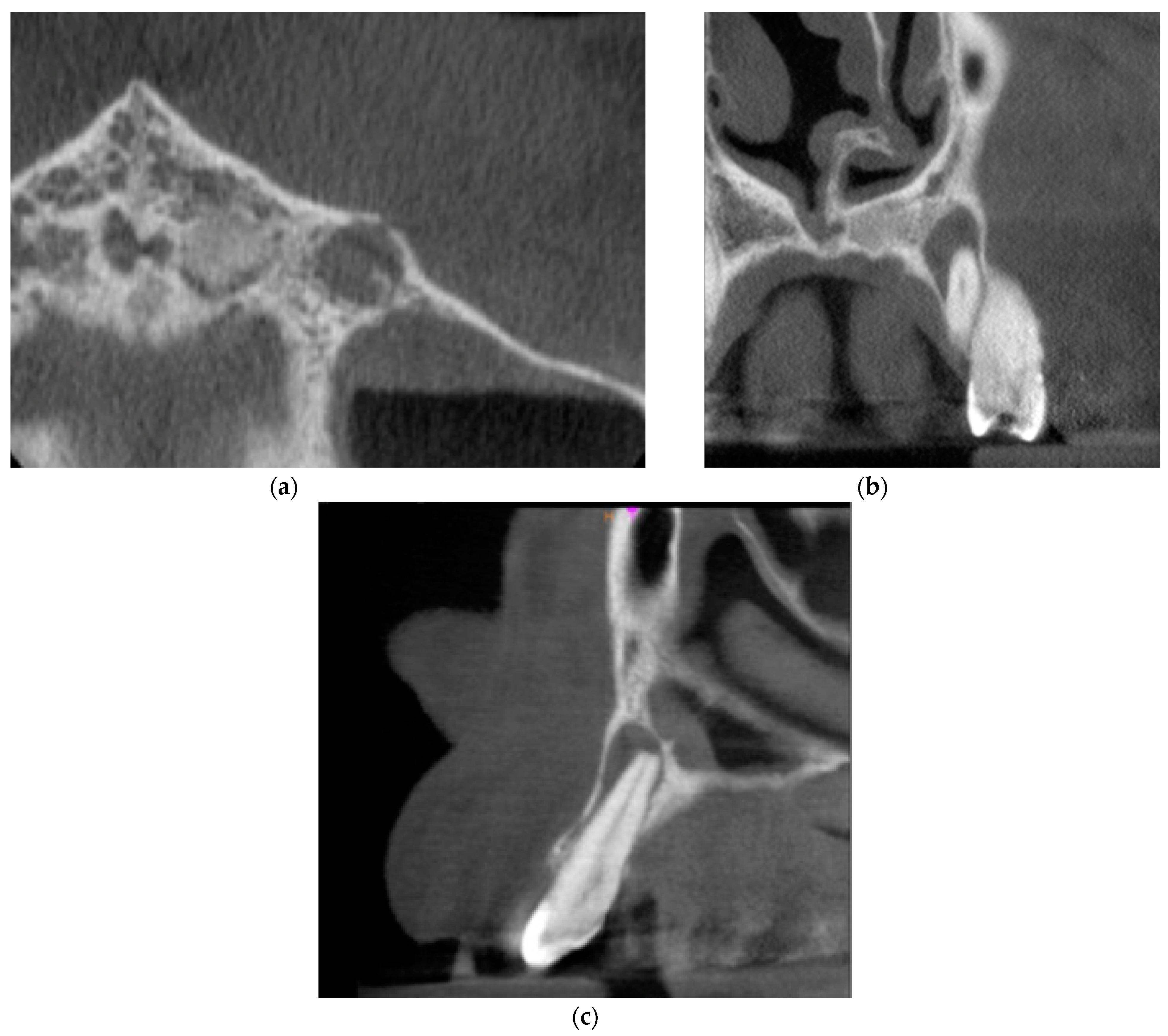 Ijms 22 09458 g001 550