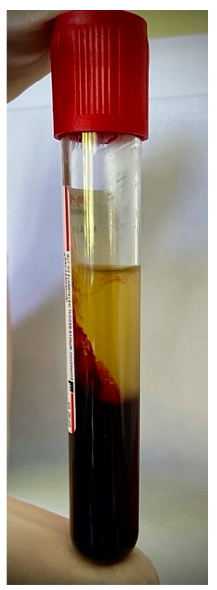 Ijms 22 09458 g002 550