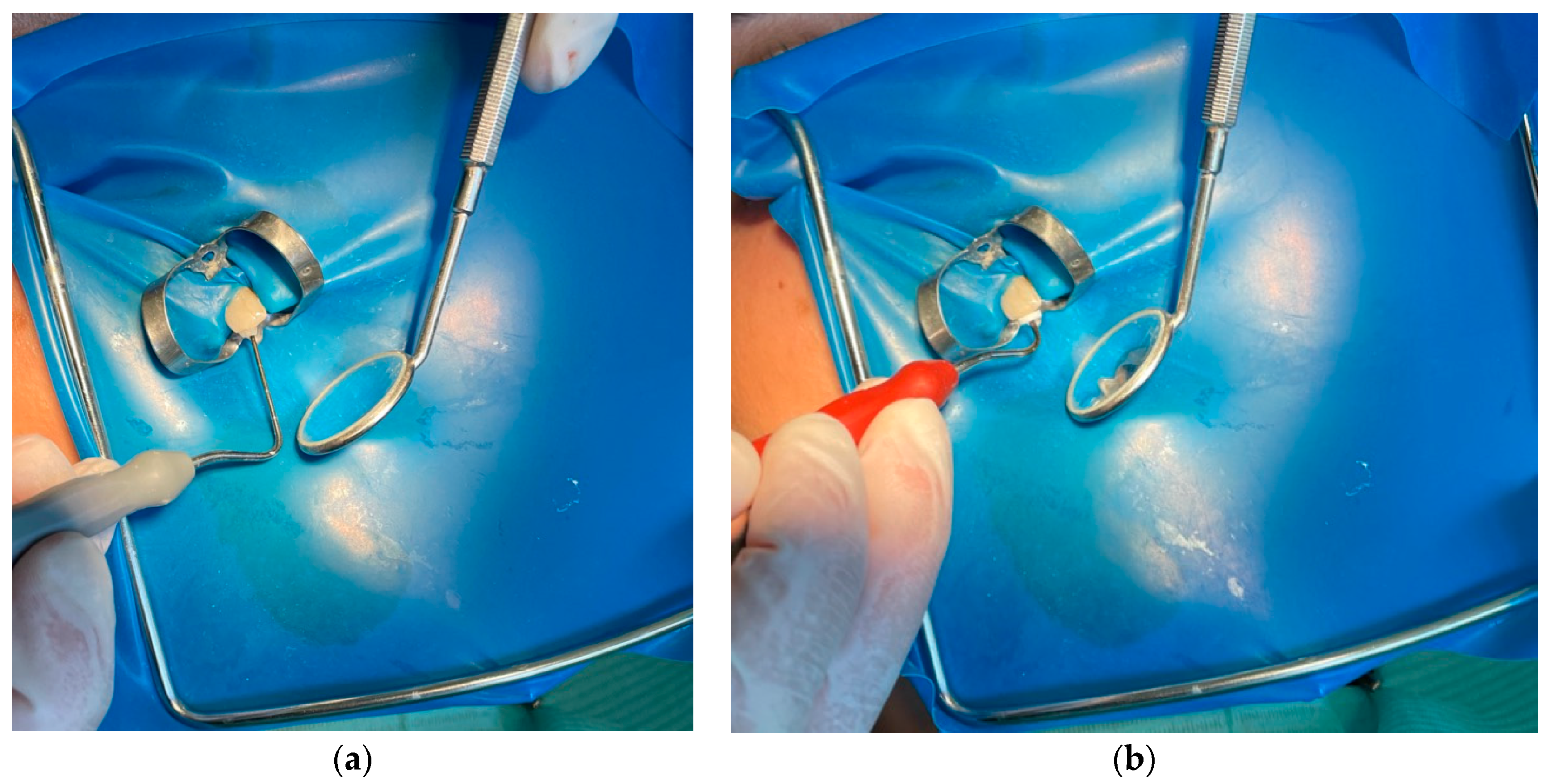 Ijms 22 09458 g003 550