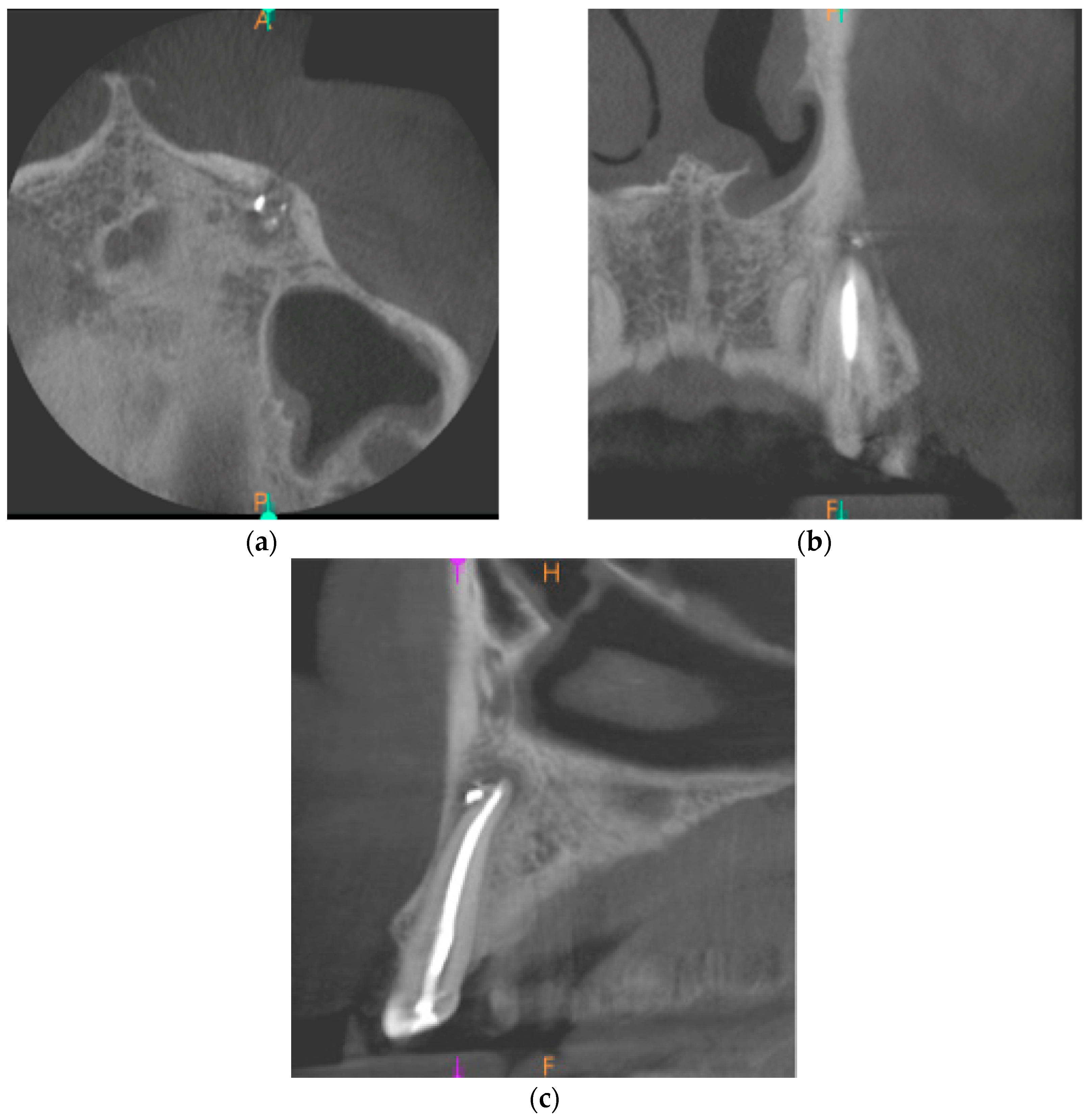 Ijms 22 09458 g006 550