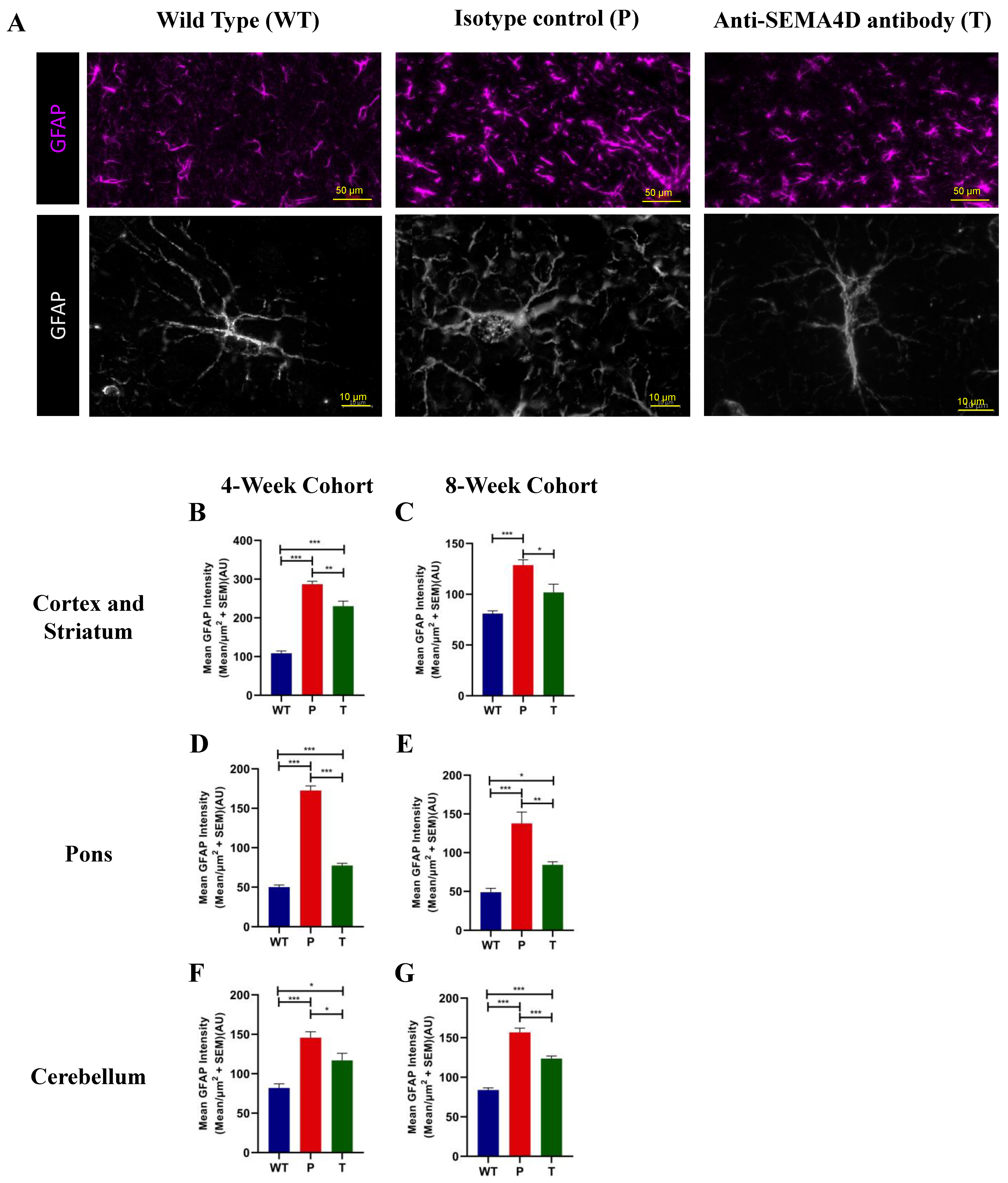 Ijms 22 09465 g006 550