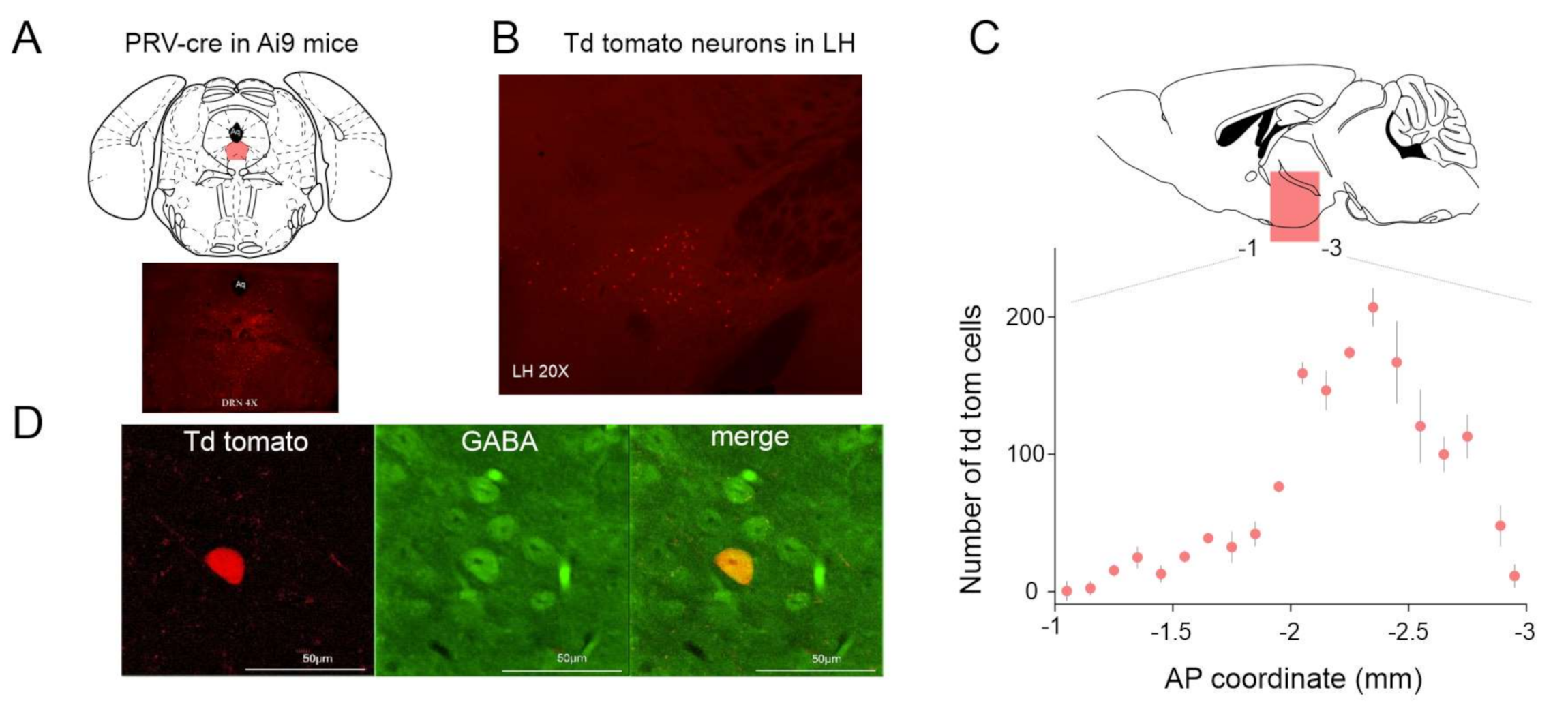 Ijms 22 09466 g001 550