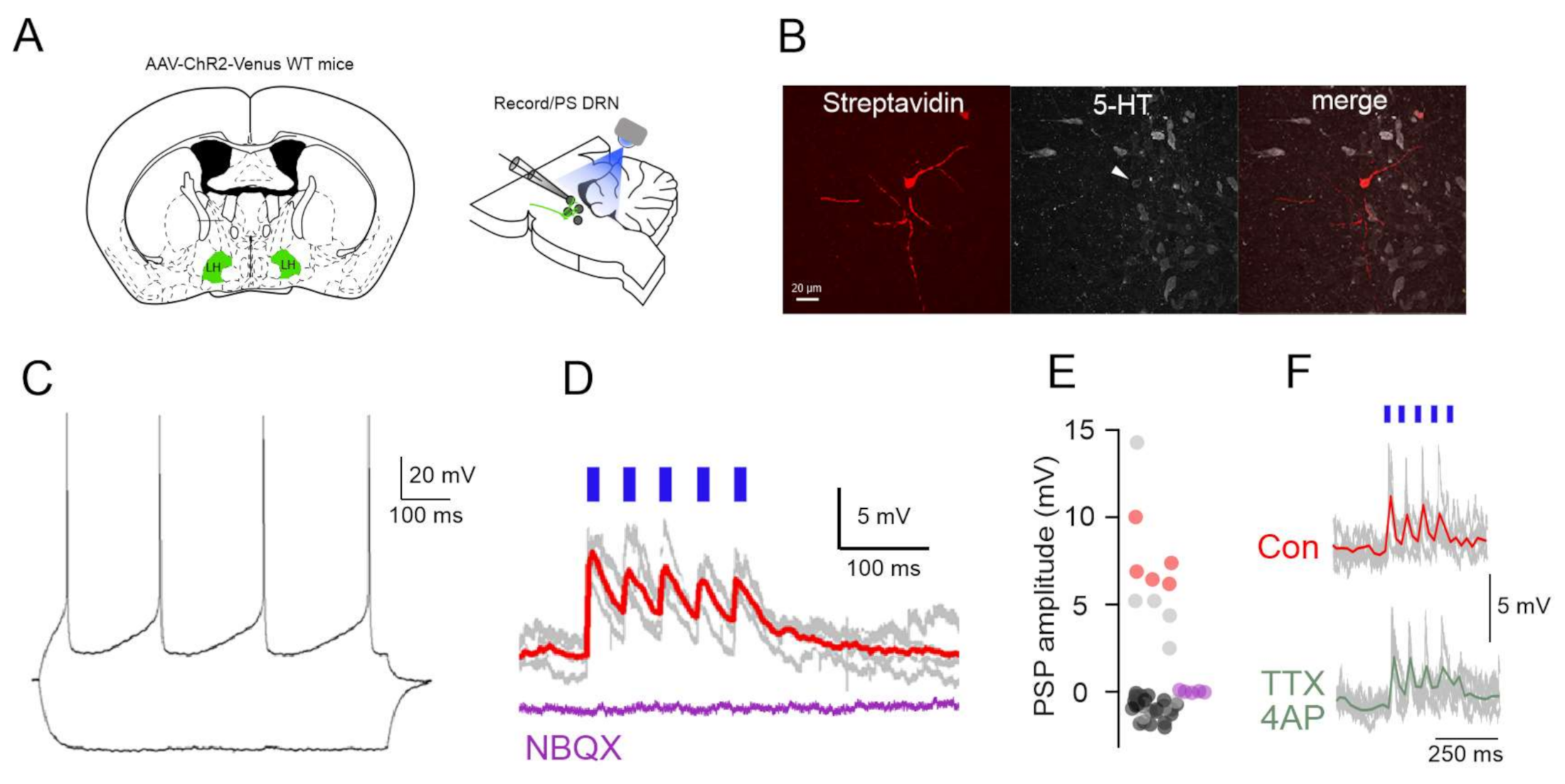 Ijms 22 09466 g002 550