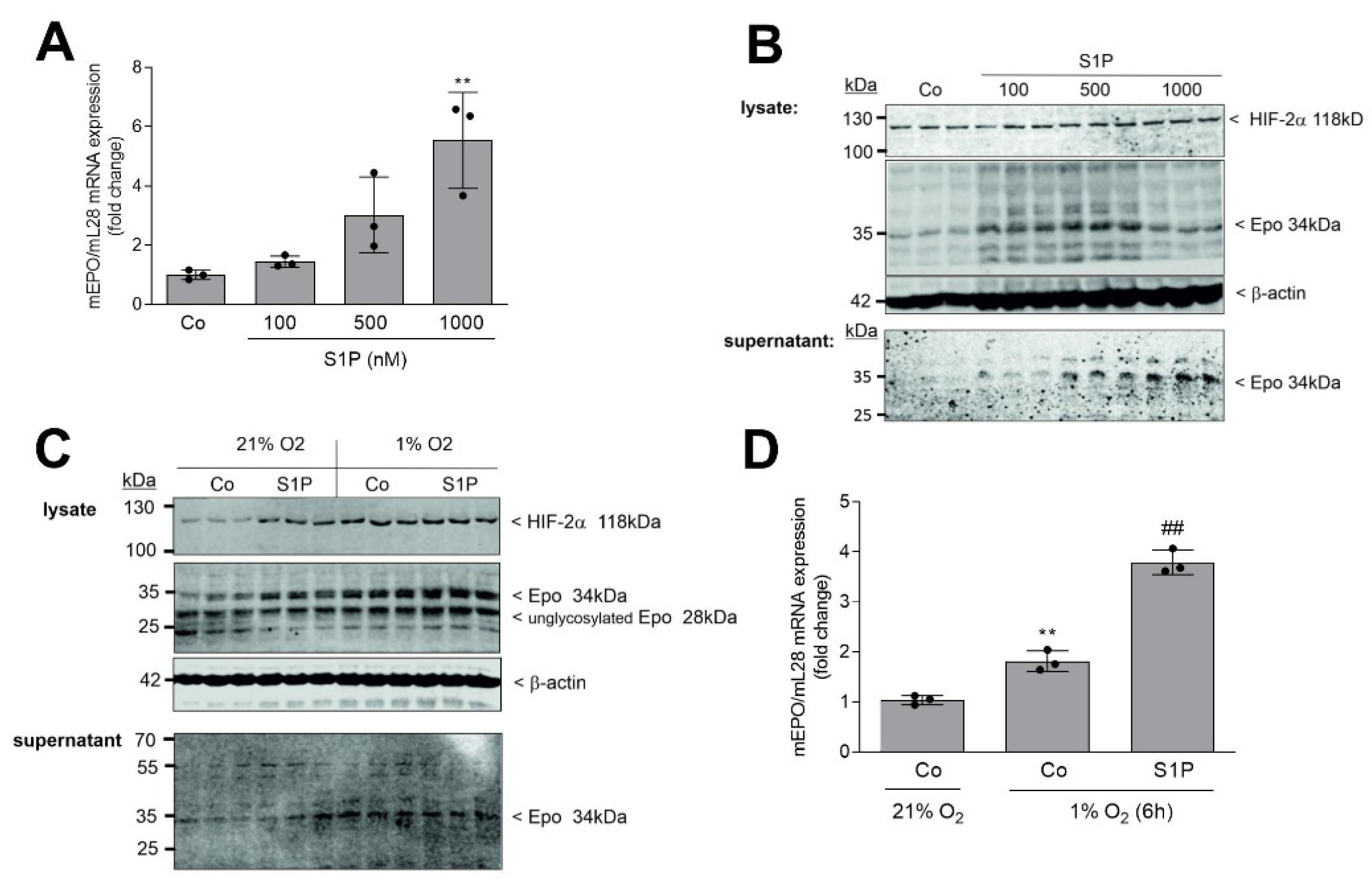 Ijms 22 09467 g001 550