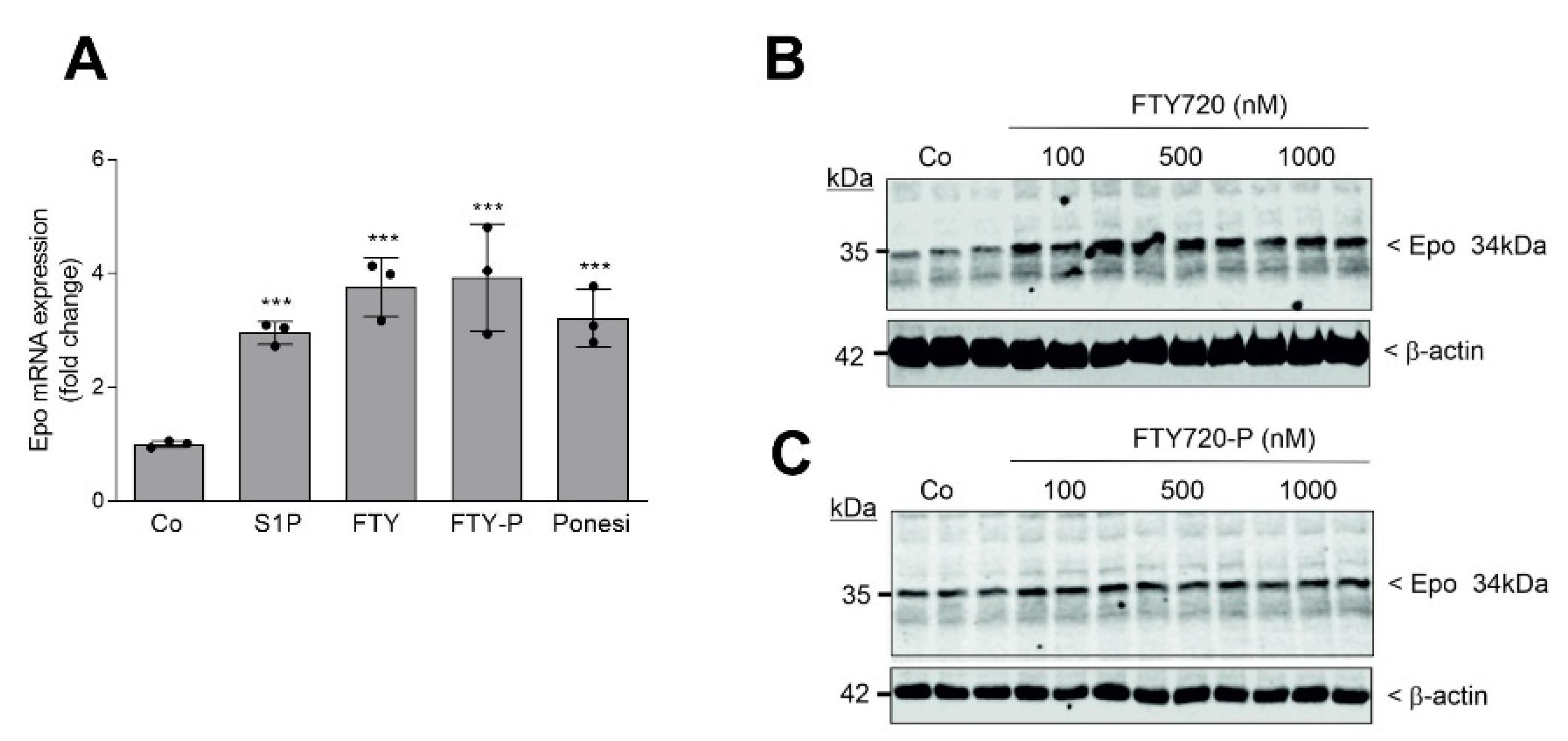 Ijms 22 09467 g003 550