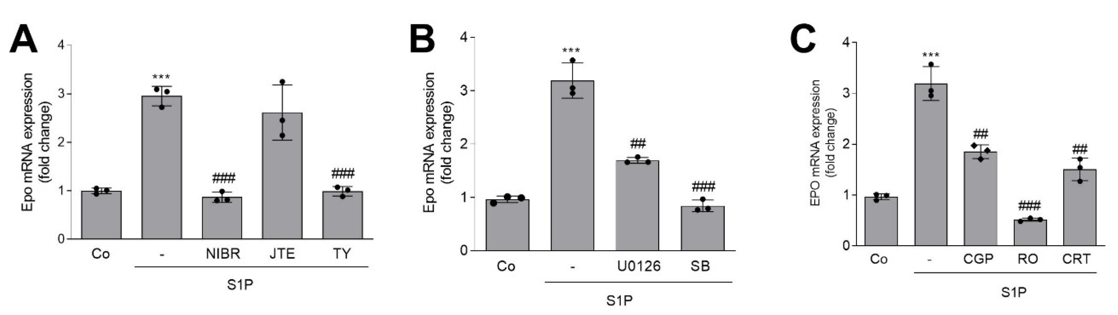 Ijms 22 09467 g004 550