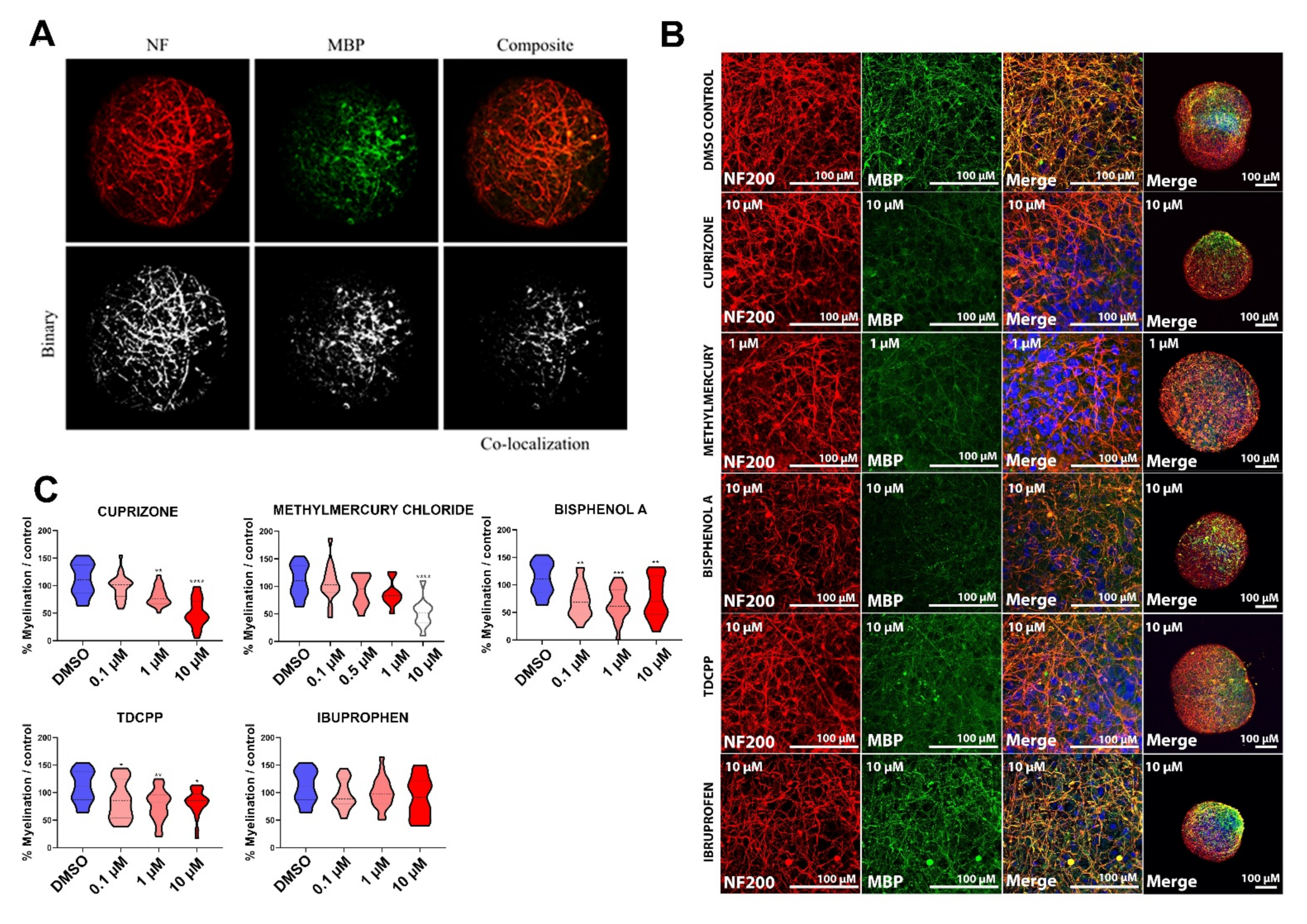 TS Microparticle Phosphatidylserine Mediates Coagulation