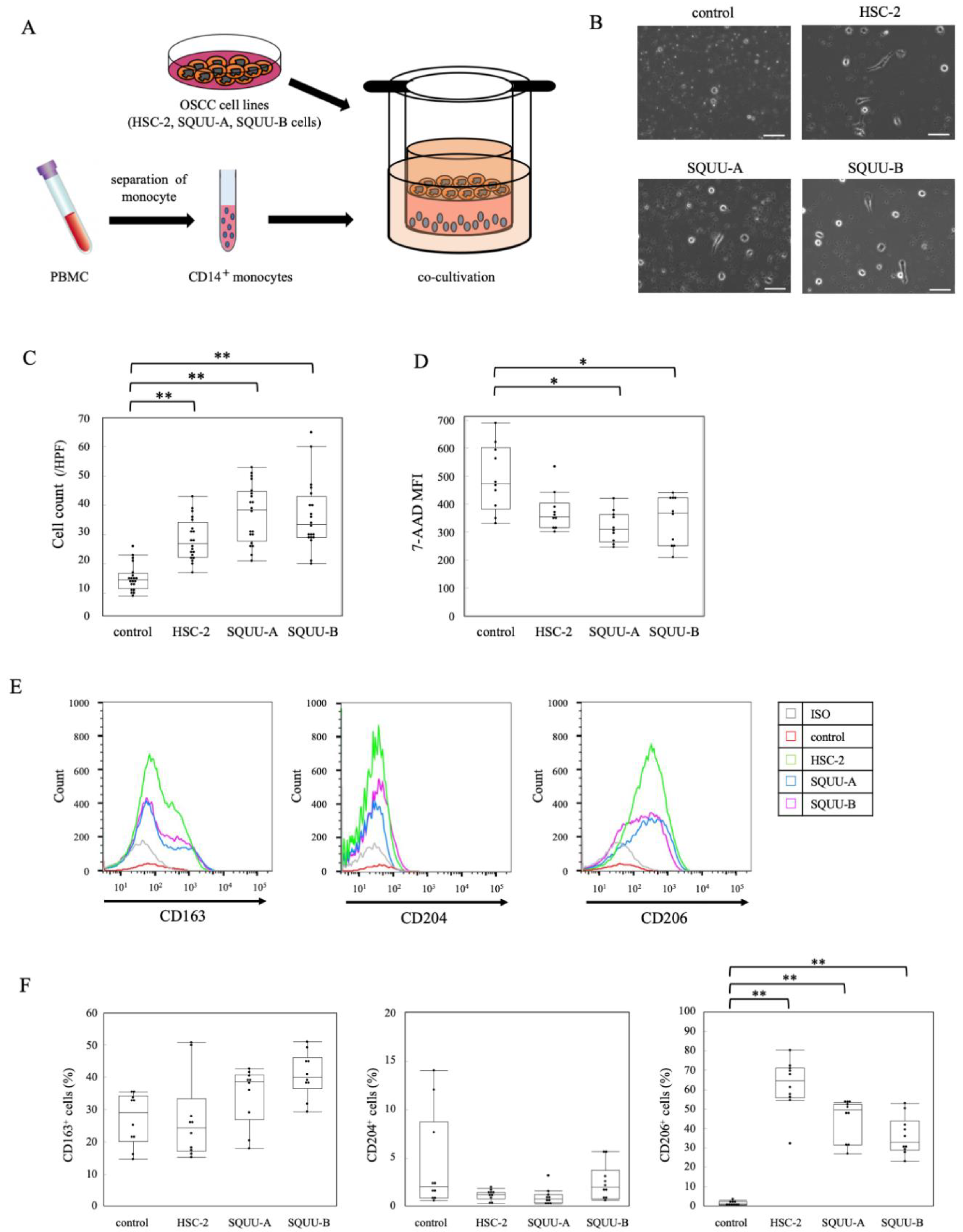 Ijms 22 09475 g002 Ijms 22 09475 g002