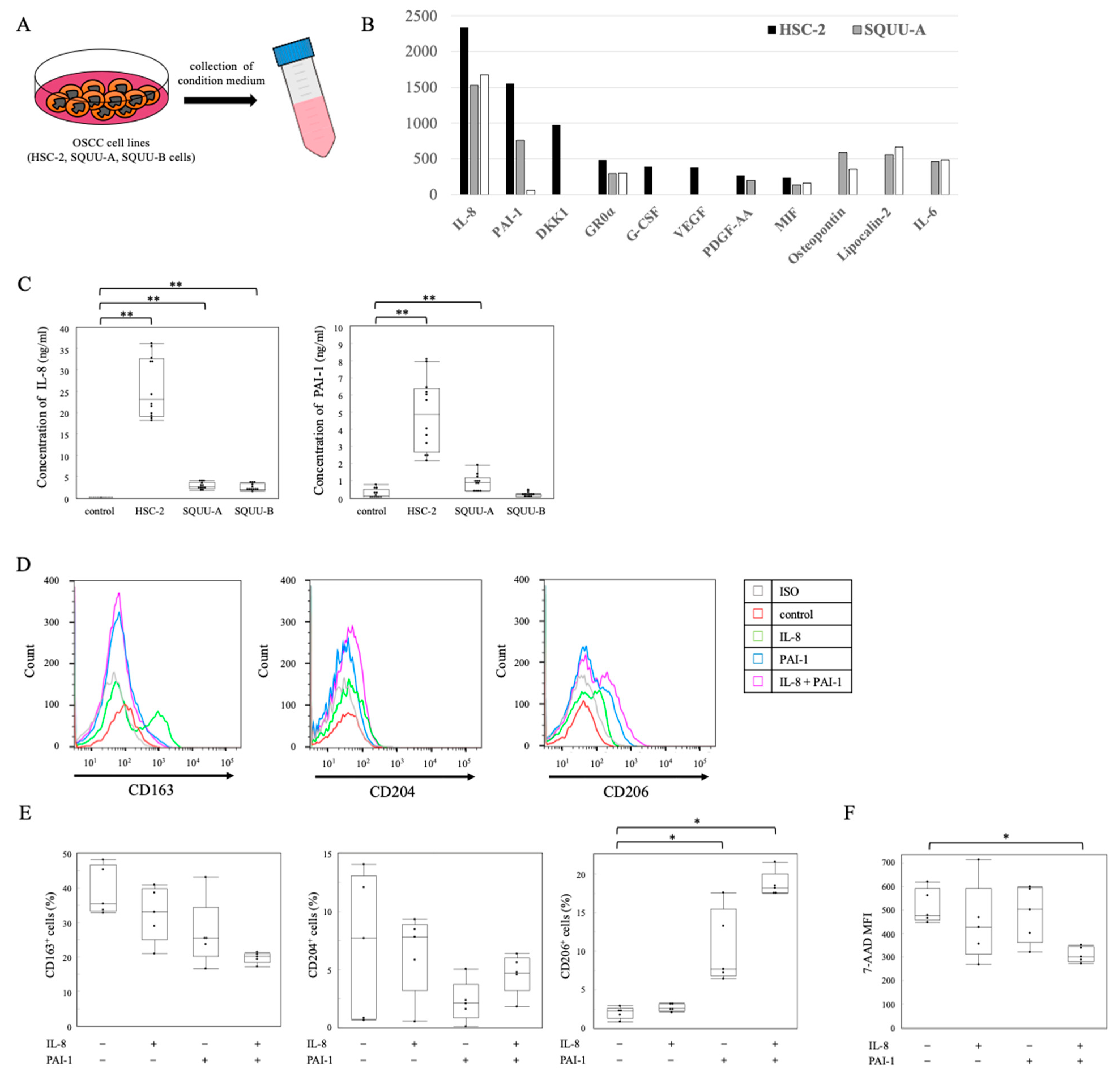 Ijms 22 09475 g003 Ijms 22 09475 g003