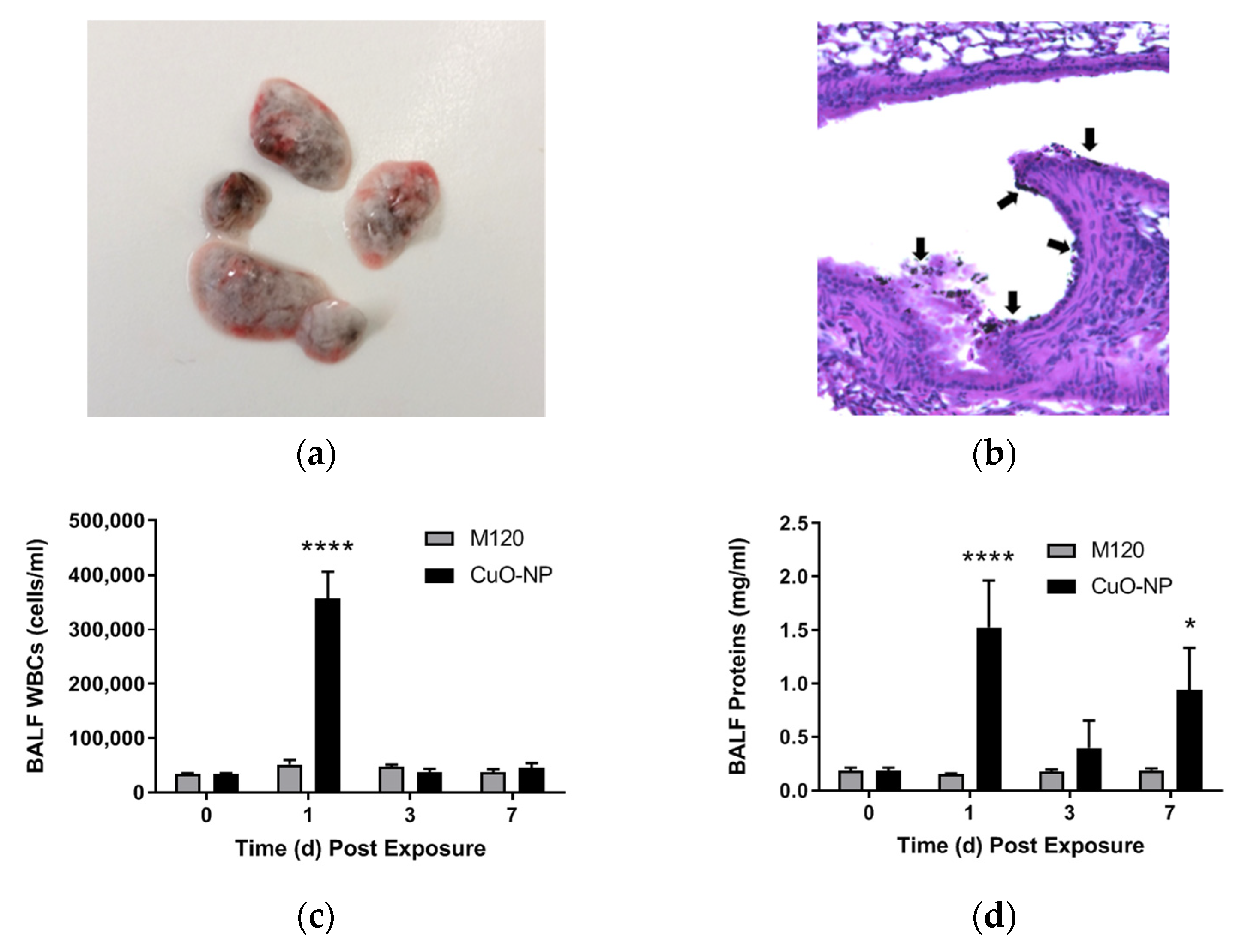 Ijms 22 09477 g002a 550