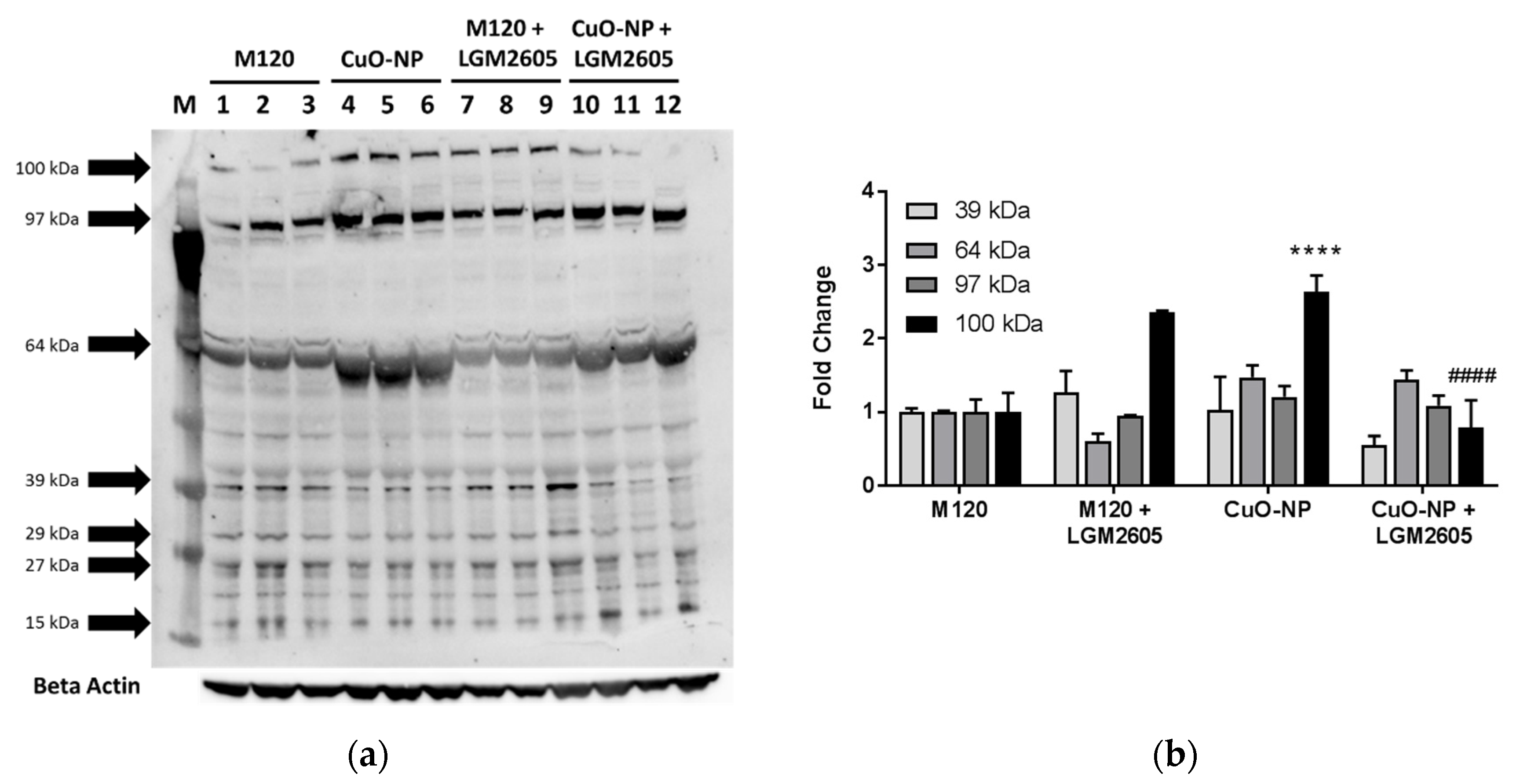 Ijms 22 09477 g006 550