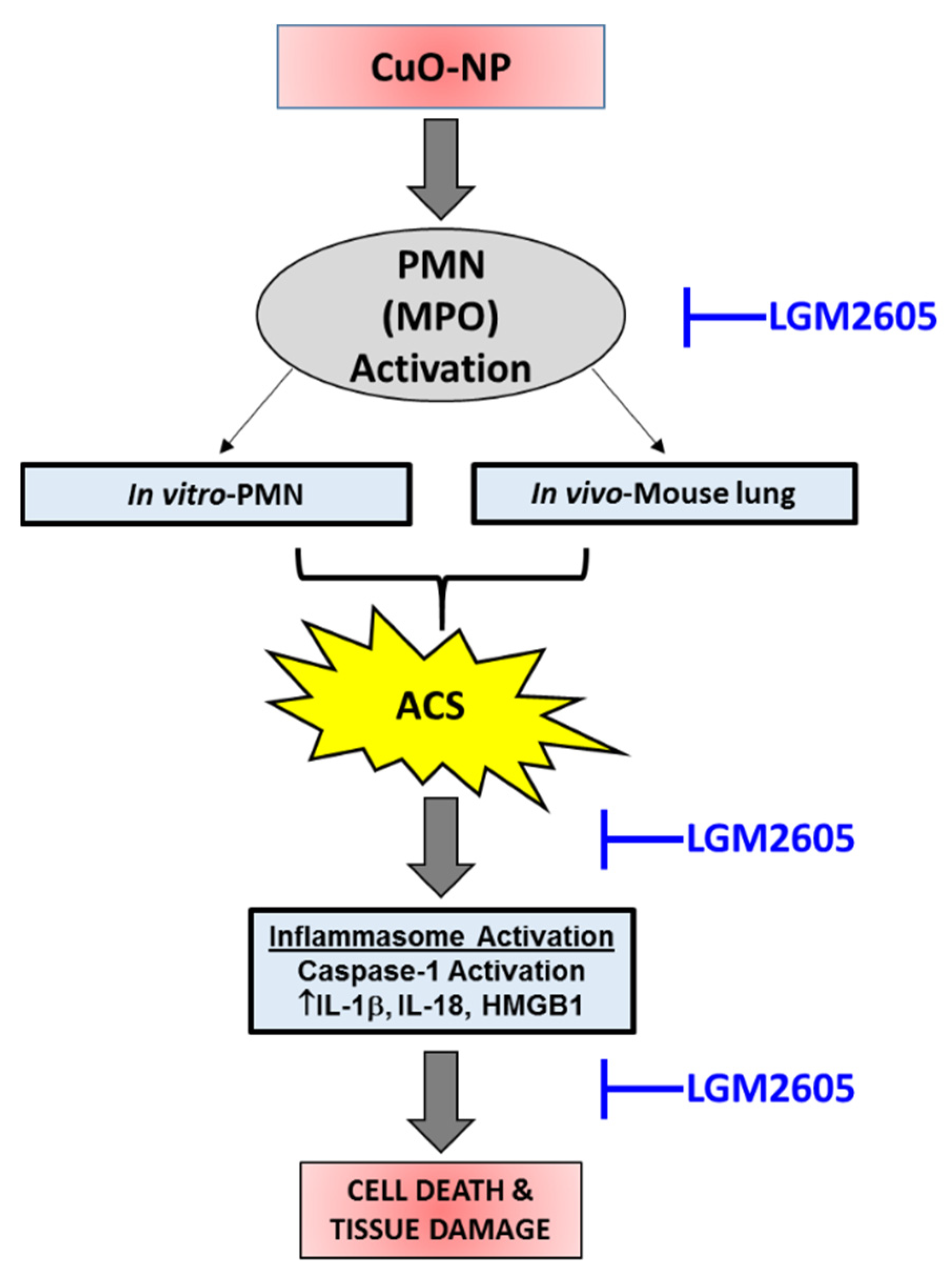Ijms 22 09477 g010 550